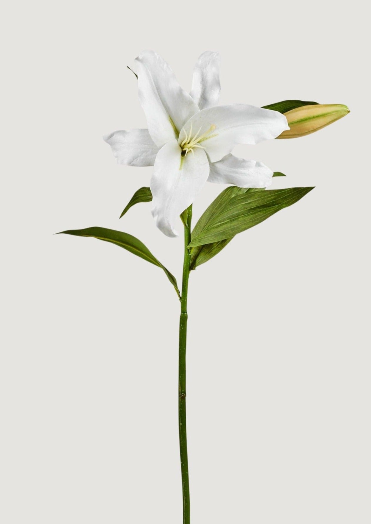 Afloral Real Touch Flowers White Casablanca Lily Stem