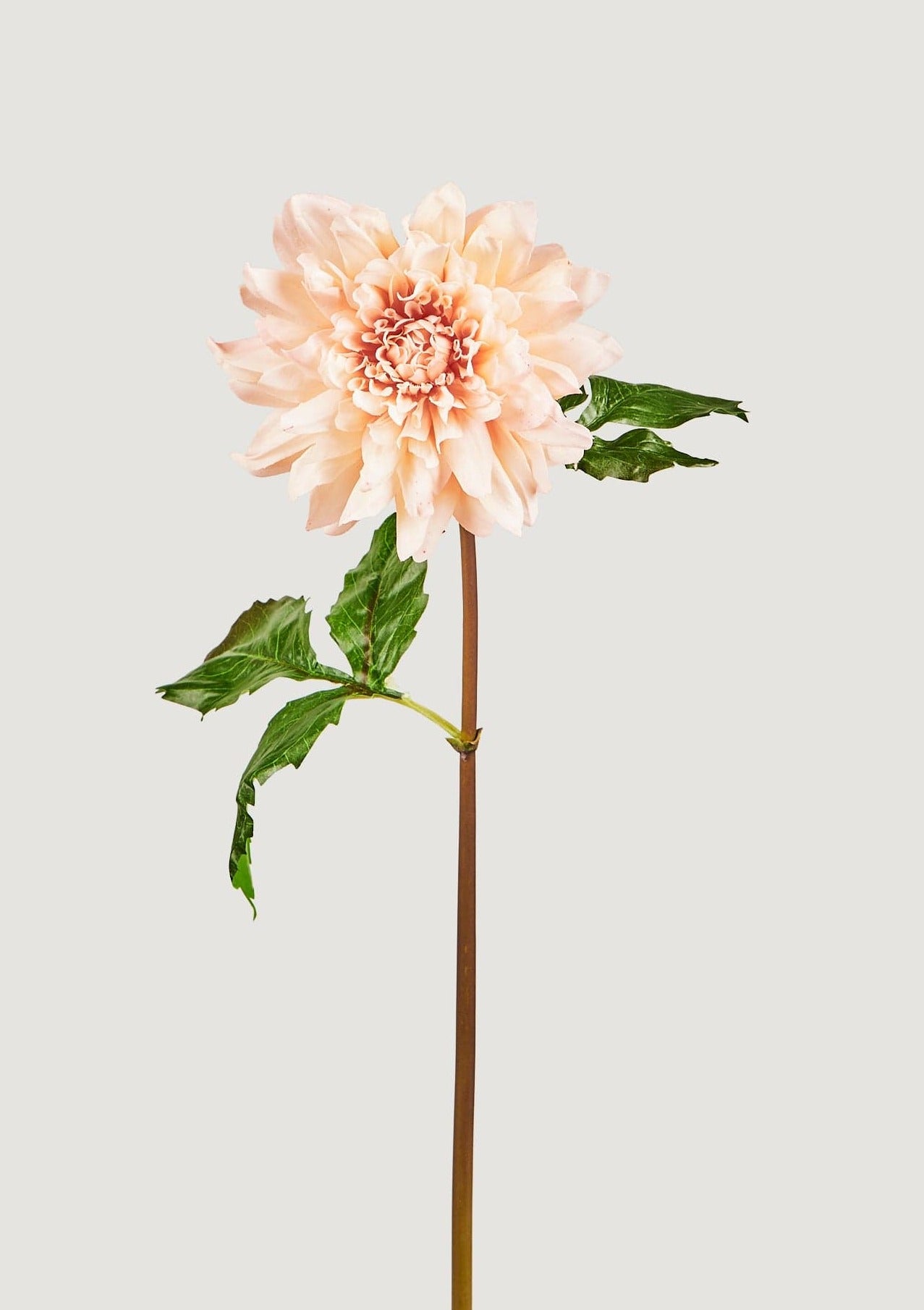 Faux Flower Real Touch Dahlia in Blush at Afloral