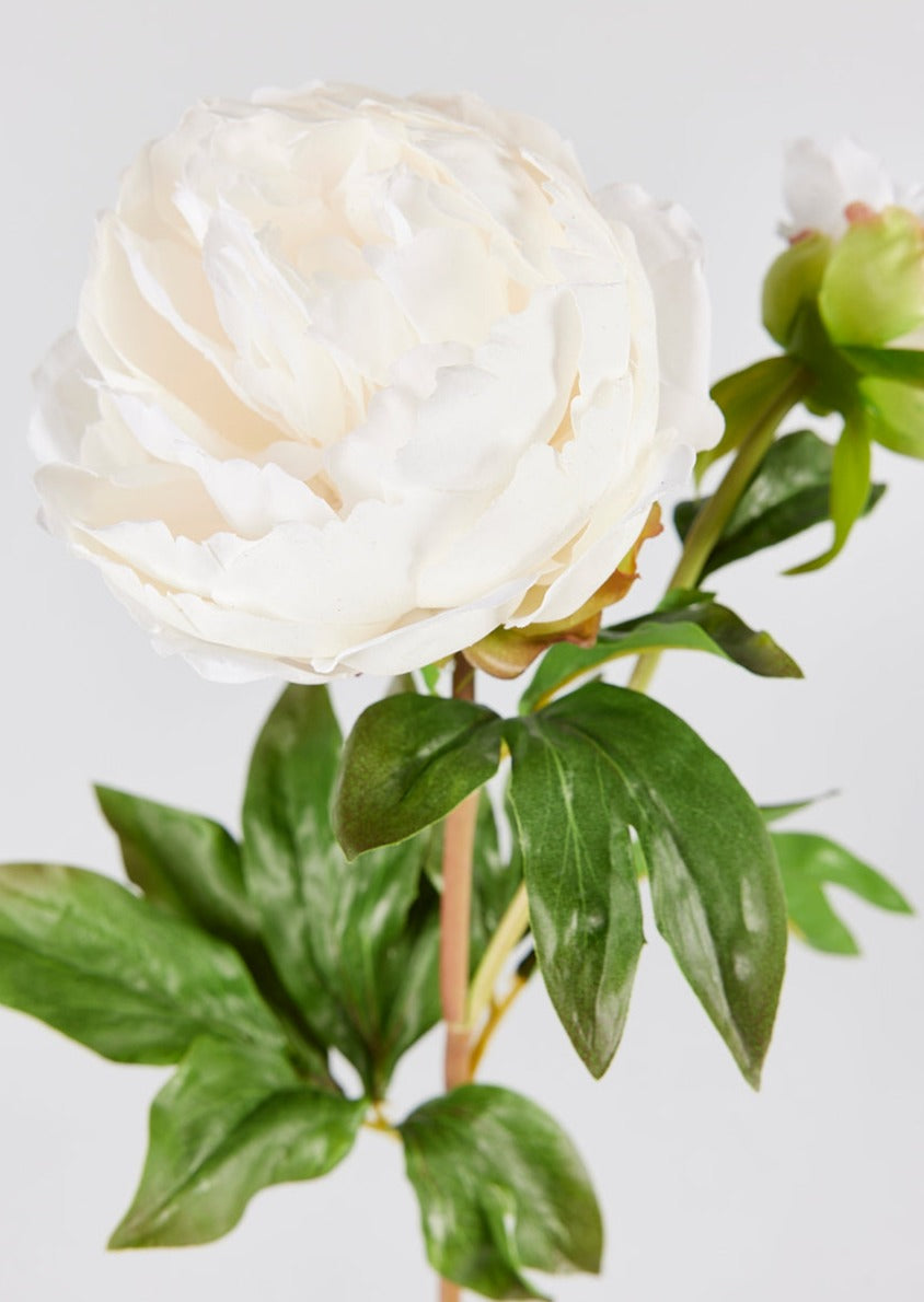 Elevated Faux Peony Stems for Home Decor