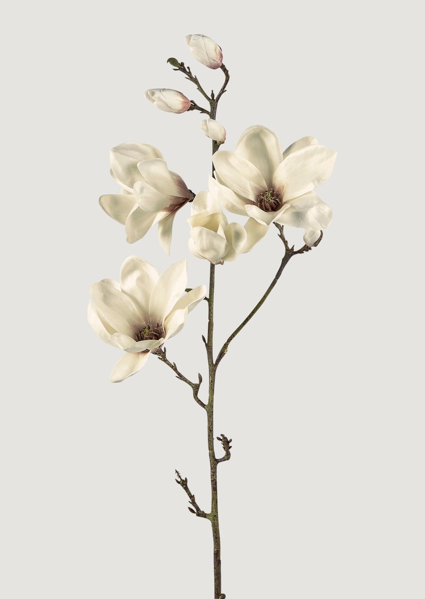 Premium Faux Blooming Branches Magnolia Branch in Cream