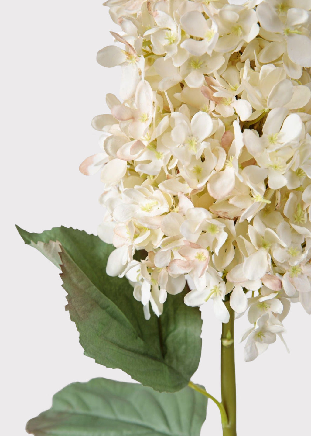 Artificial Tall Cone Hydrangea Stem in Parchment Beige at Afloral