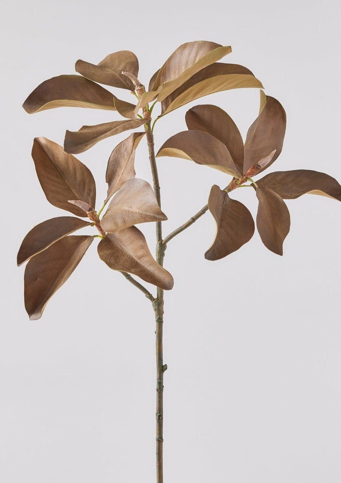 Afloral Faux Fall Stems in Brown Magnolia Leaf Branch