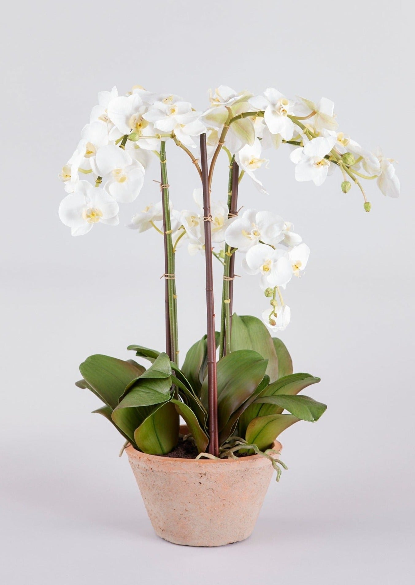 Afloral High End Faux Potted Plants White Orchid in Pot