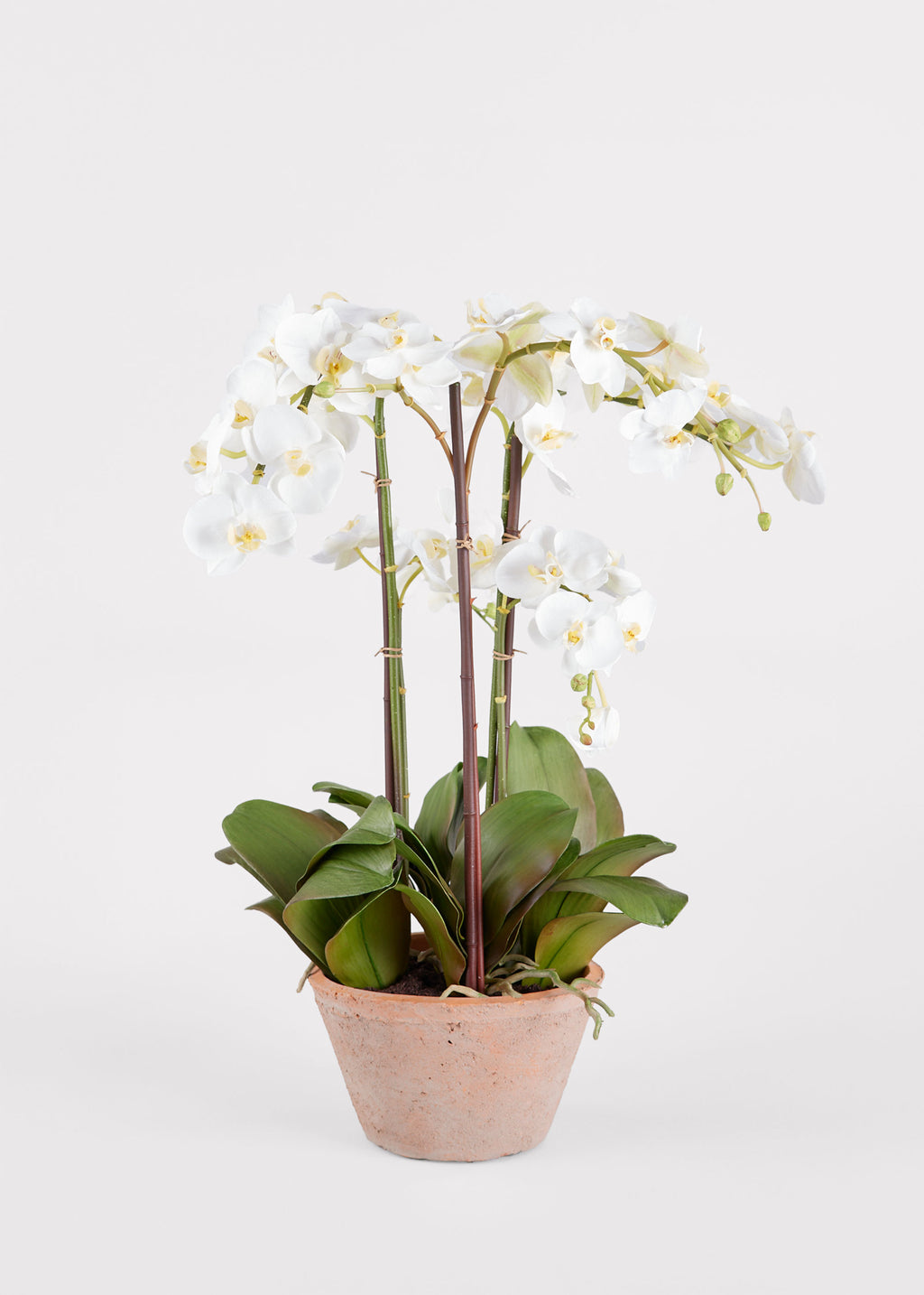 Afloral High End Faux Potted Plants White Orchid in Pot
