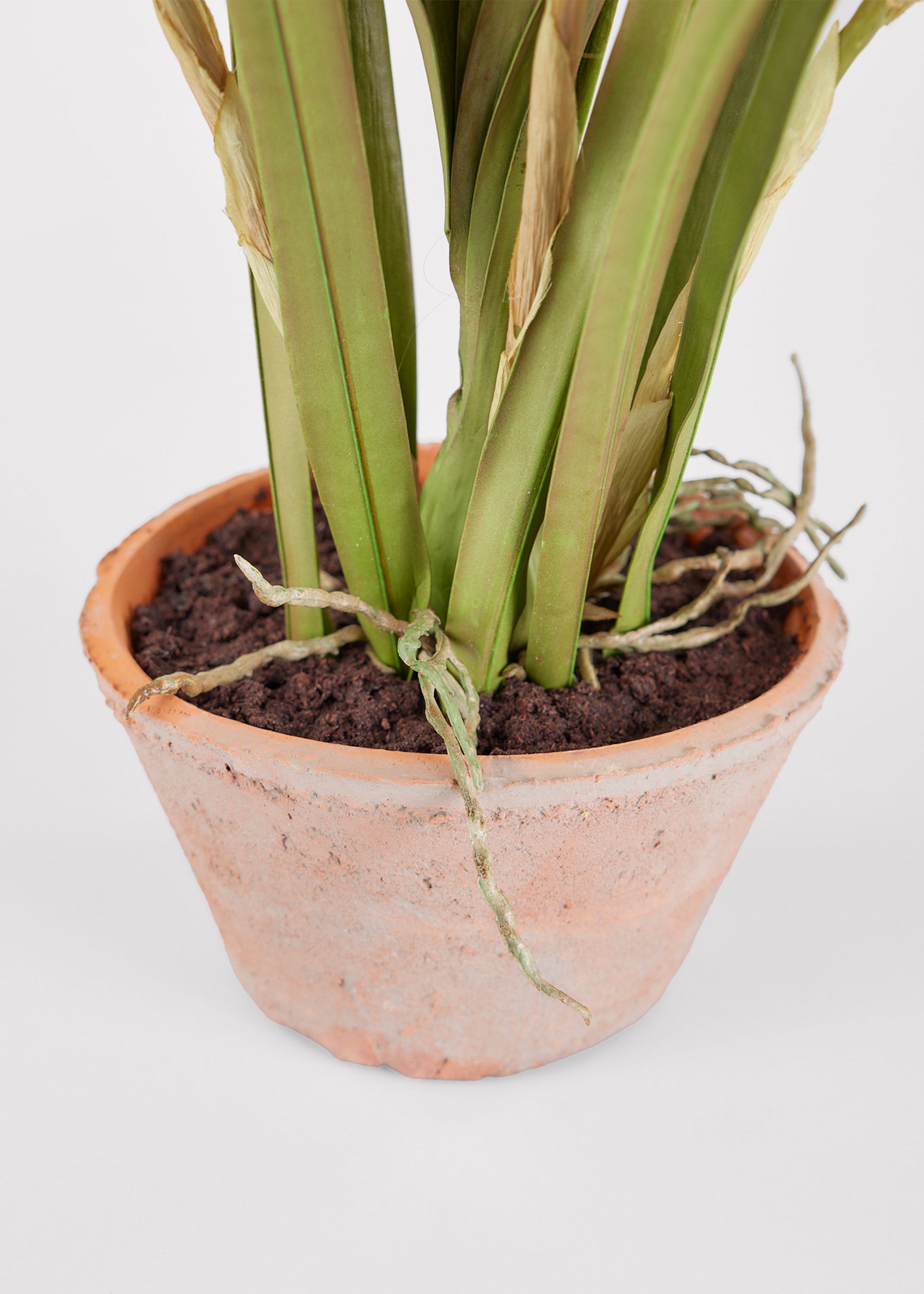 Afloral Closeup View of Artificial Soil in Potted Orchid Plant