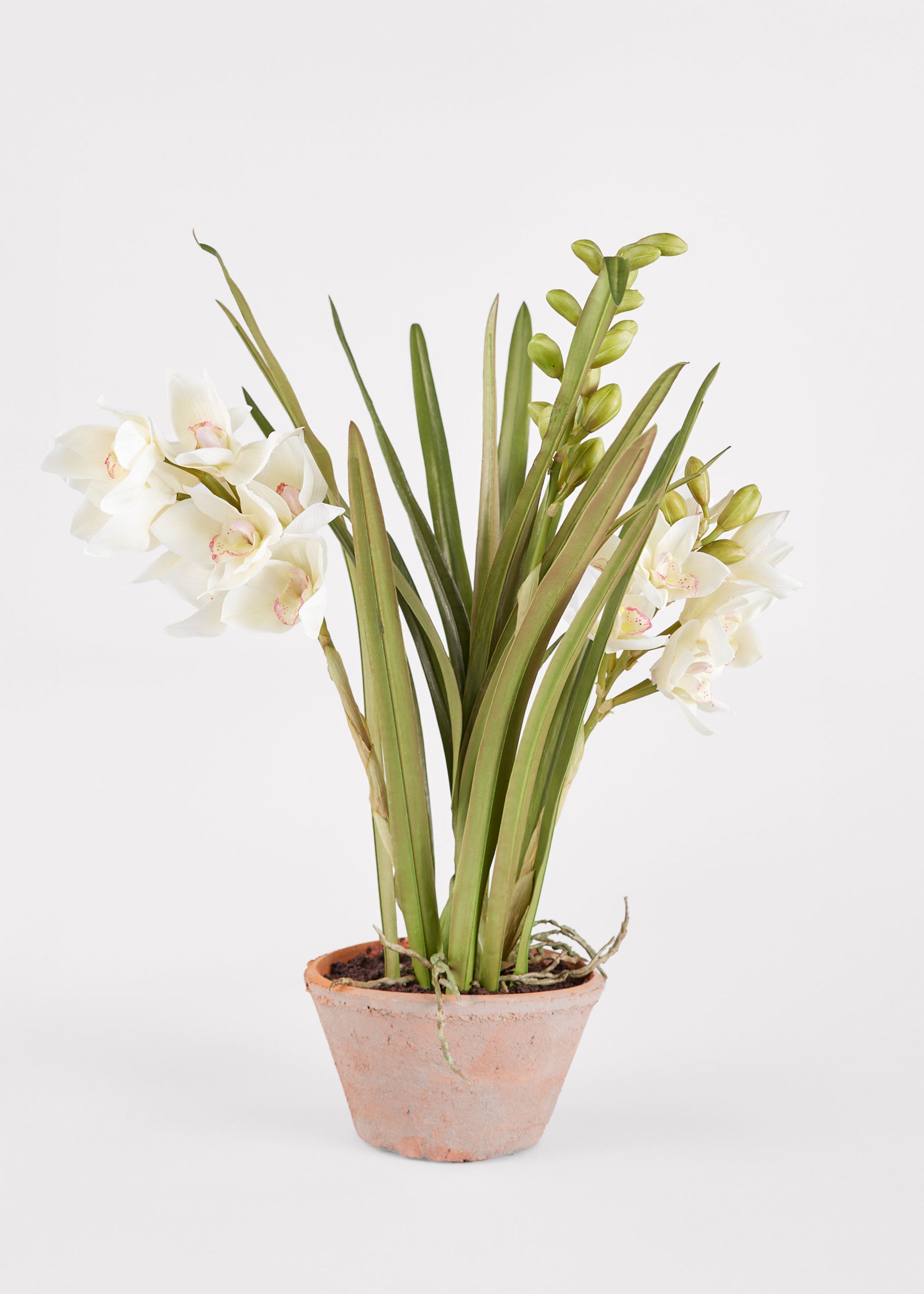 Afloral Artificial Arrangement of Potted Cymbidium Orchids