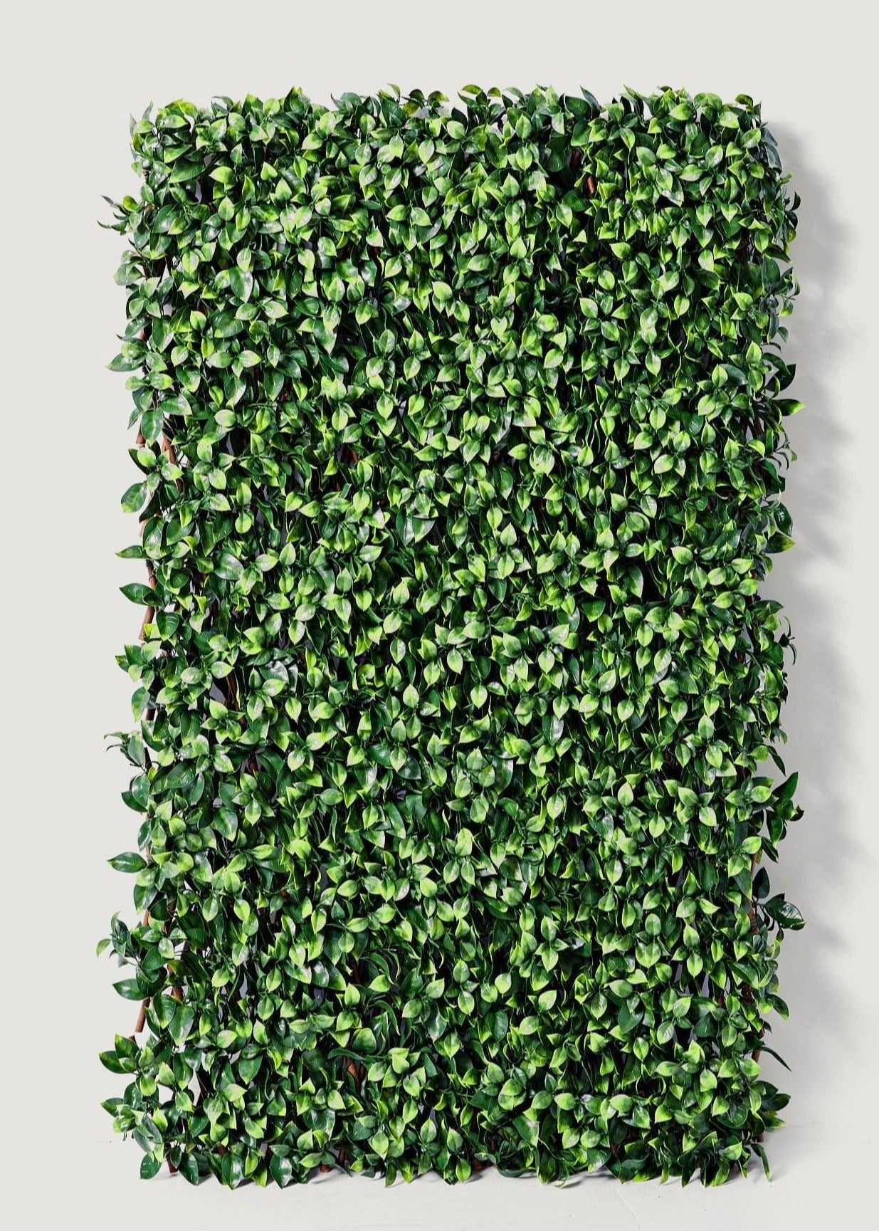 Gardenia Leaf Trellis Faux Outdoor Greenery Walls