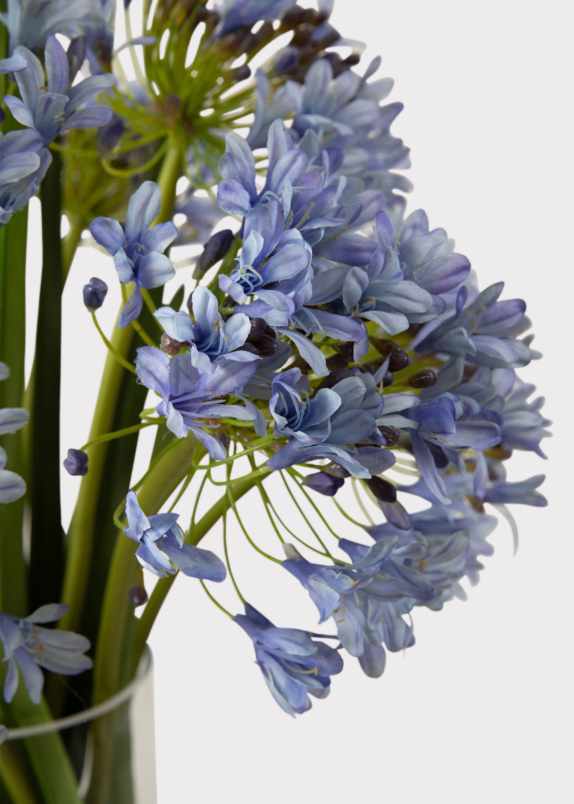 Faux Agapanthus Flower Closeup