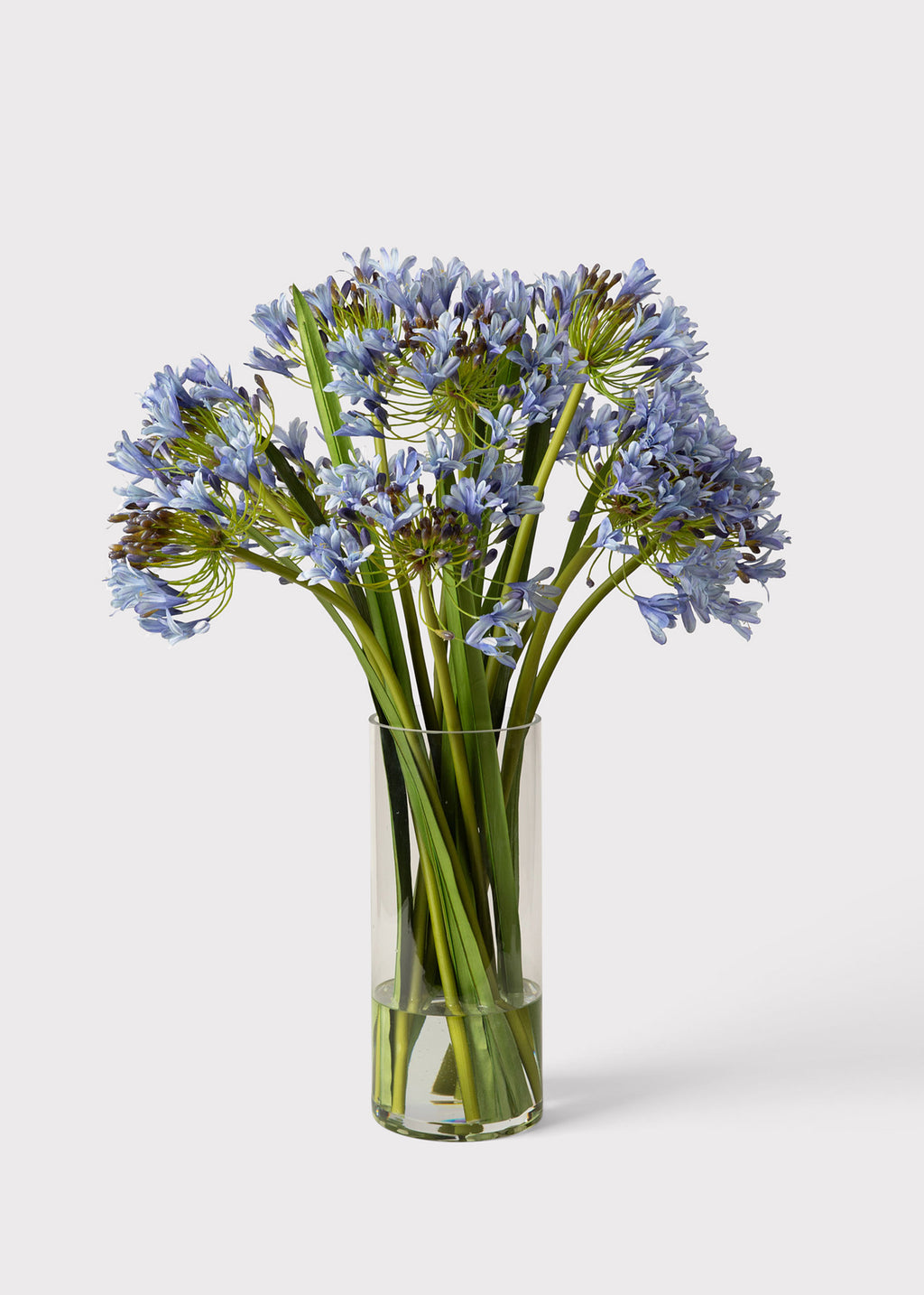 Faux Agapanthus Floral Arrangement at Afloral