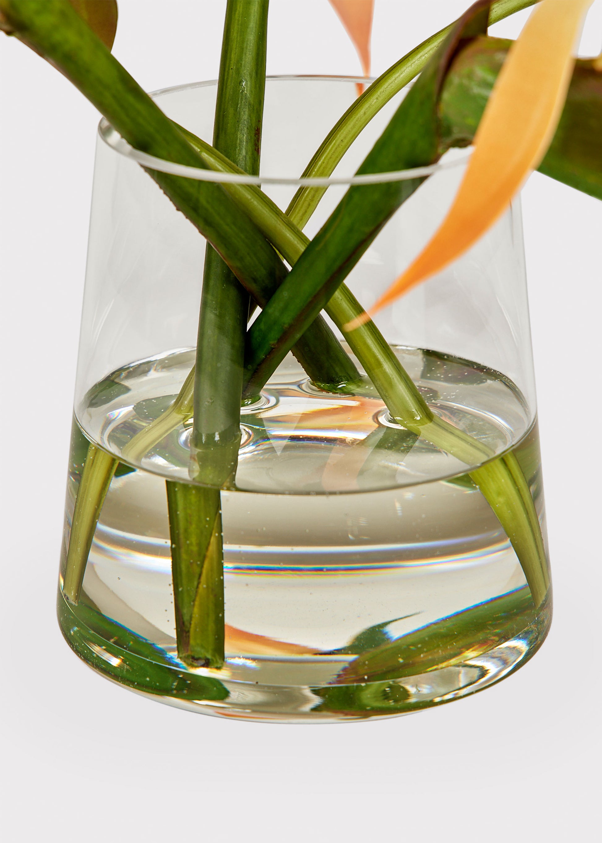 Orange Artificial Bird of Paradise Blooming Arrangement in Glass Vase at Afloral