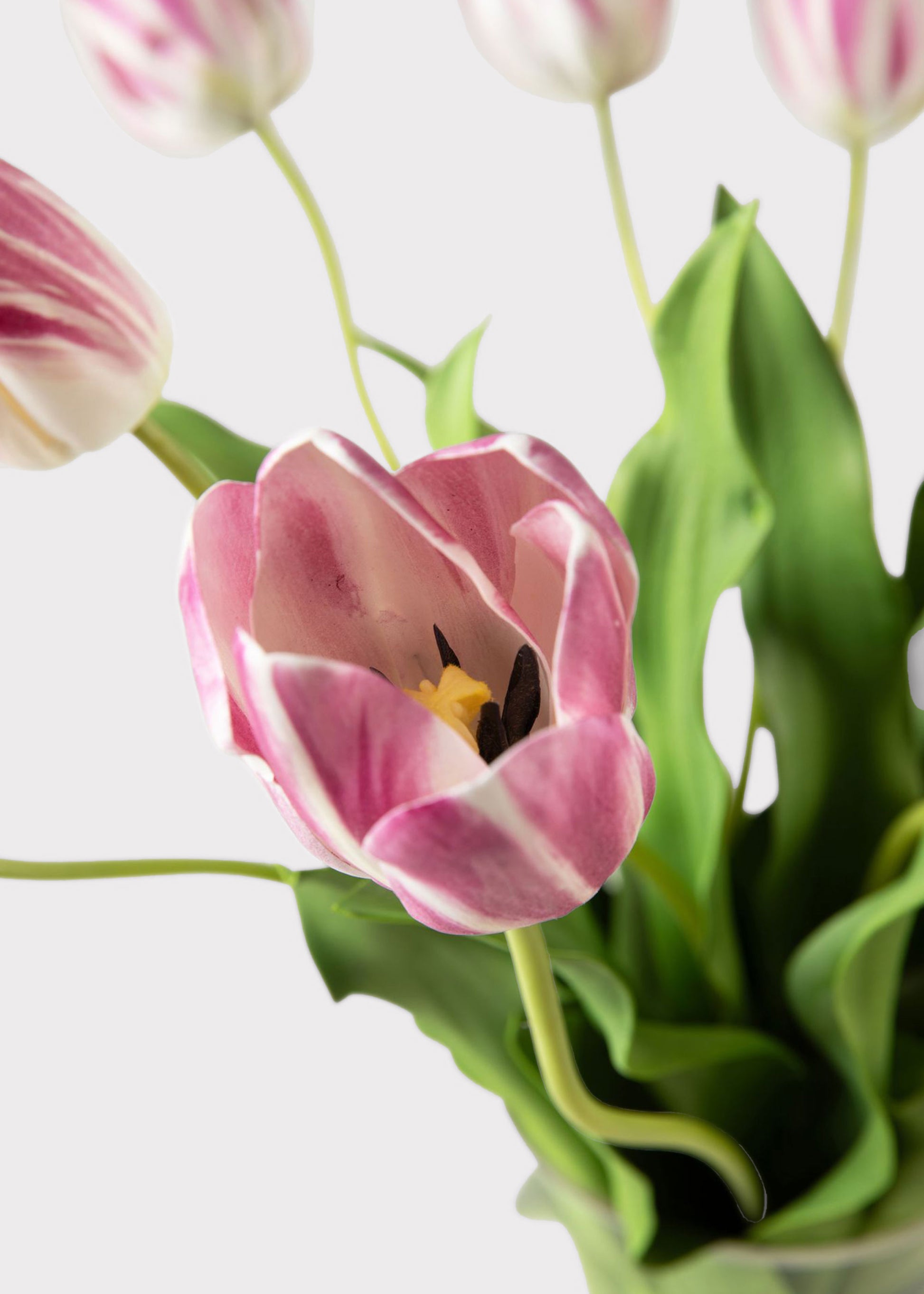 Close Up of Artificial Blooming Mauve Tulips in Glass Vase Arrangement