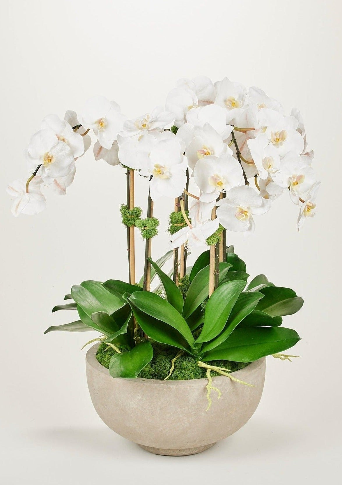 Afloral Potted Floral Arrangement of Faux White Orchids in Ceramic Bowl