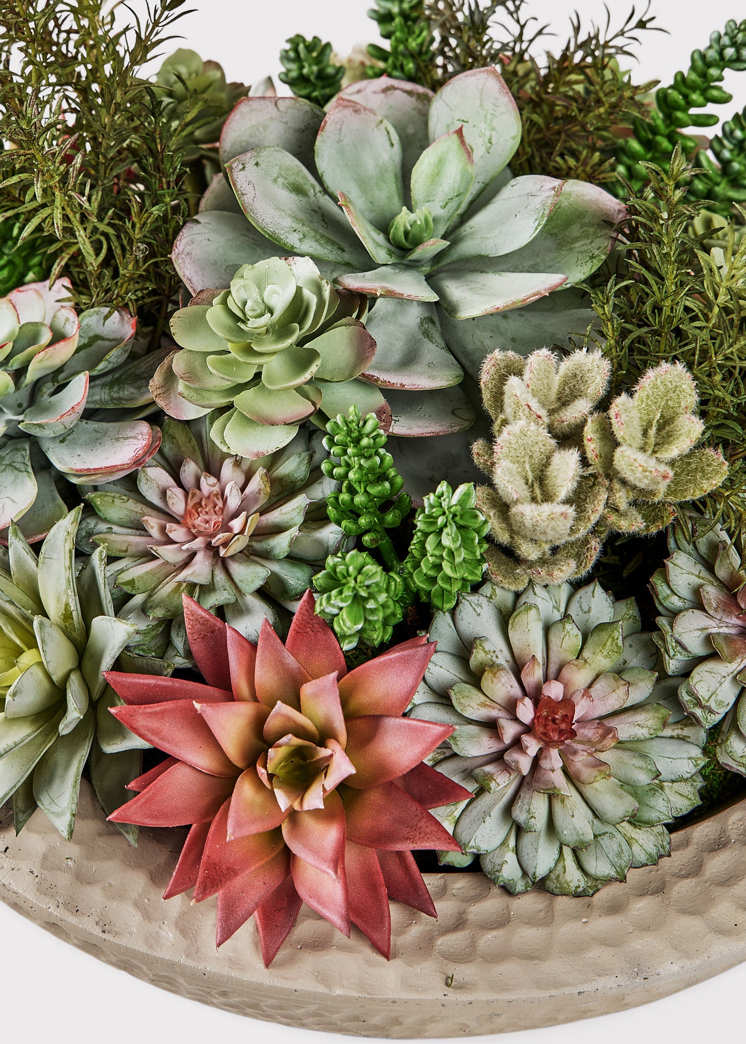 Closeup View of Assorted Artificial Succulents in Potted Plant