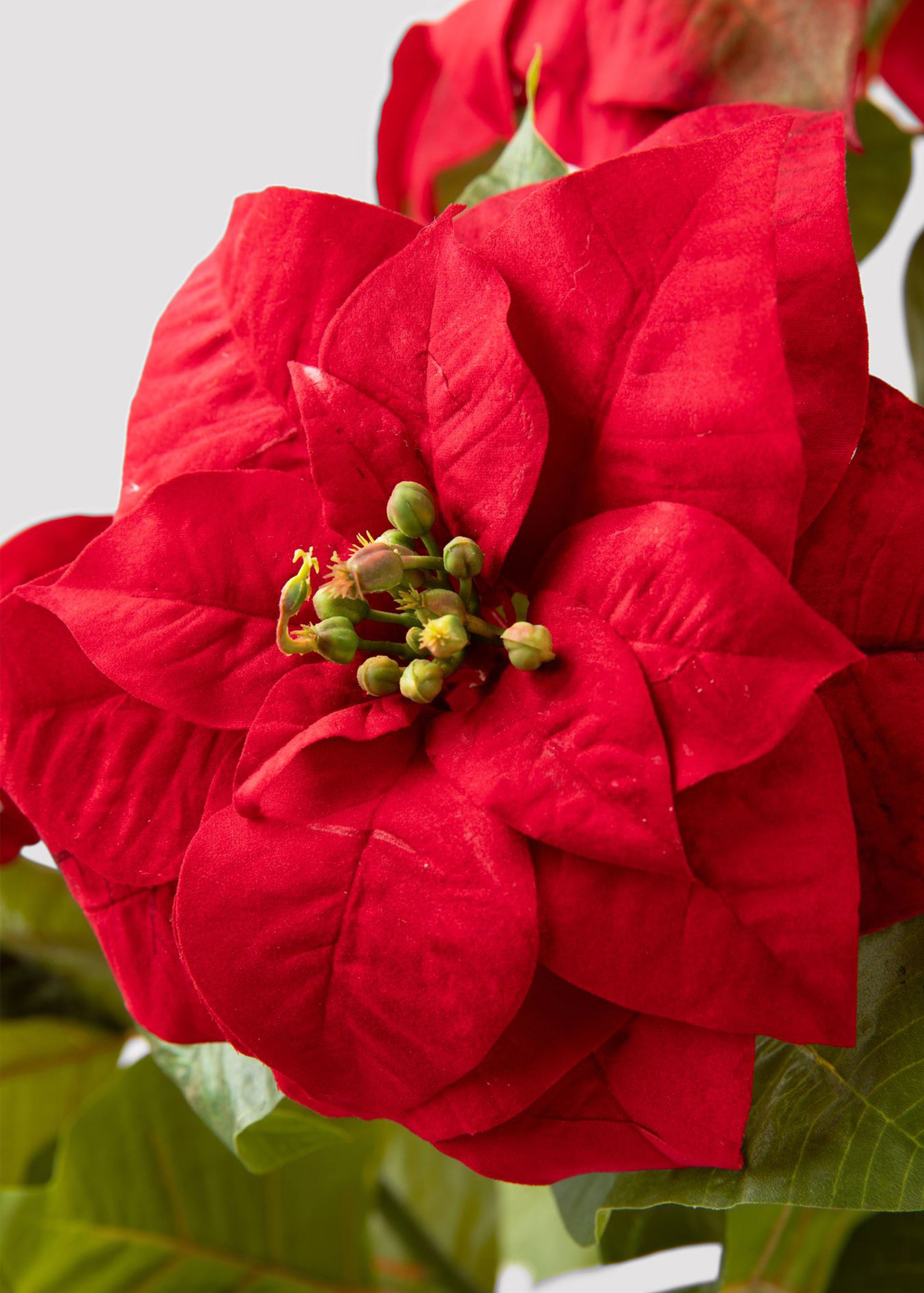 Artificial Poinsettia Plant in Red