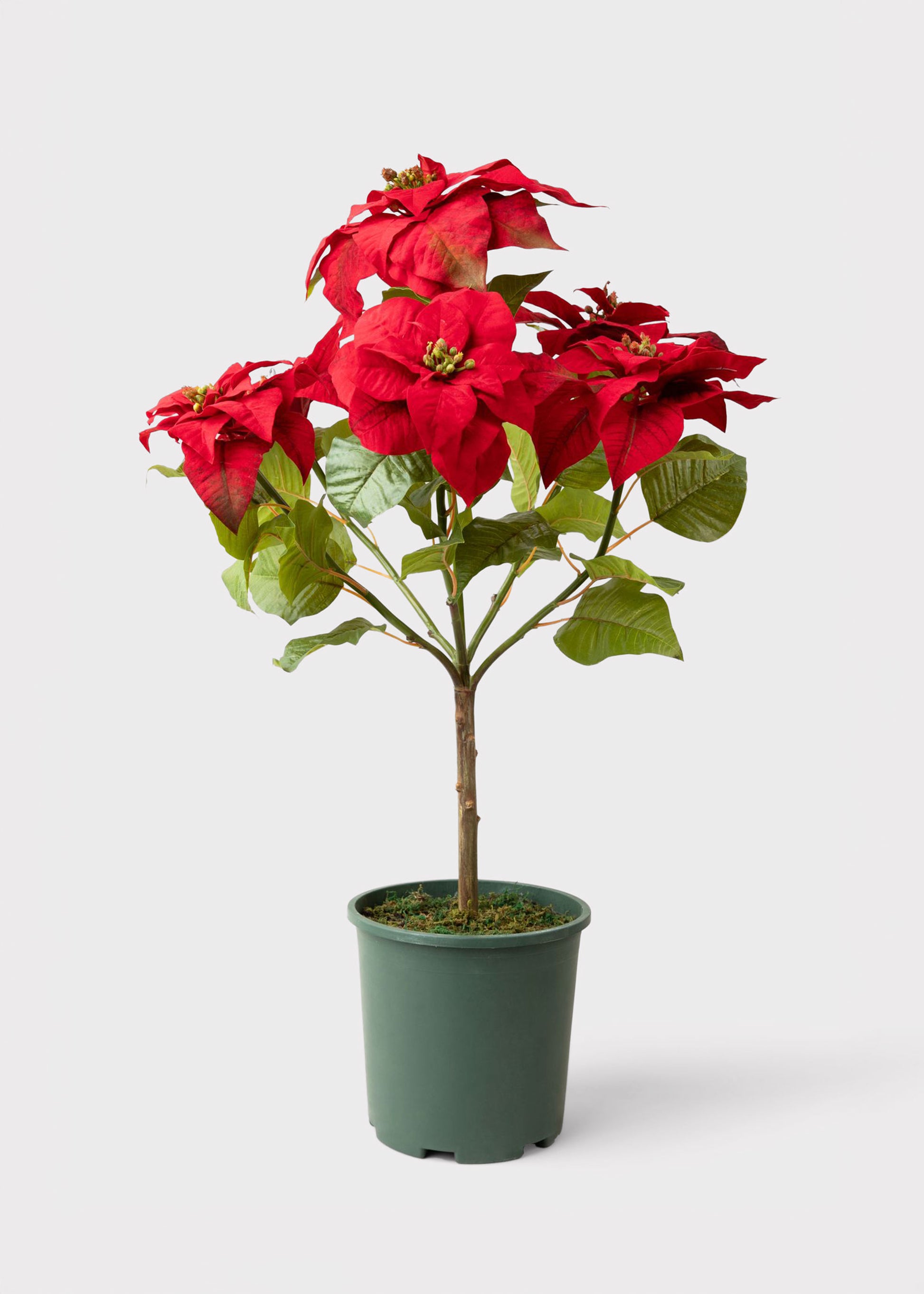 Faux Potted Poinsettia