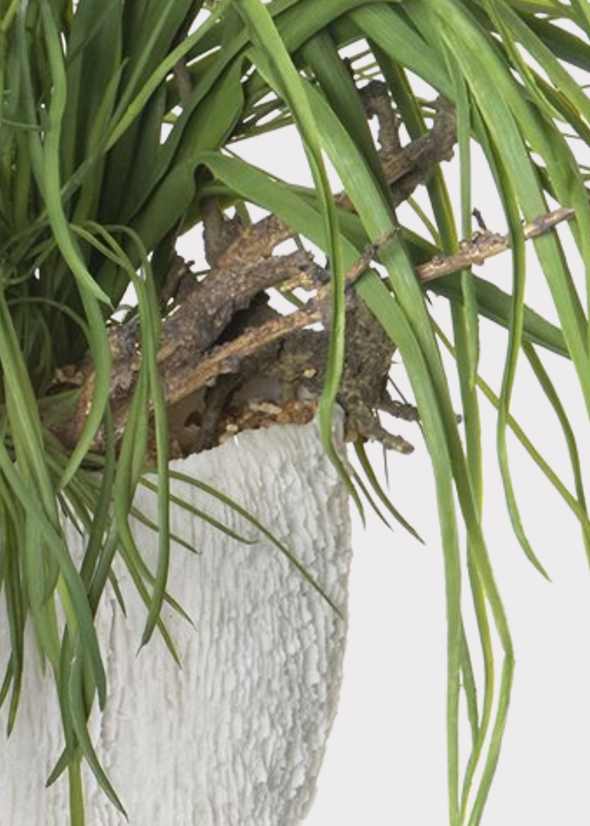 air plant driftwood arrangement 18.5" Mixed Grass & Driftwood Artificial Plant w/Coral Vase -Green/Brown