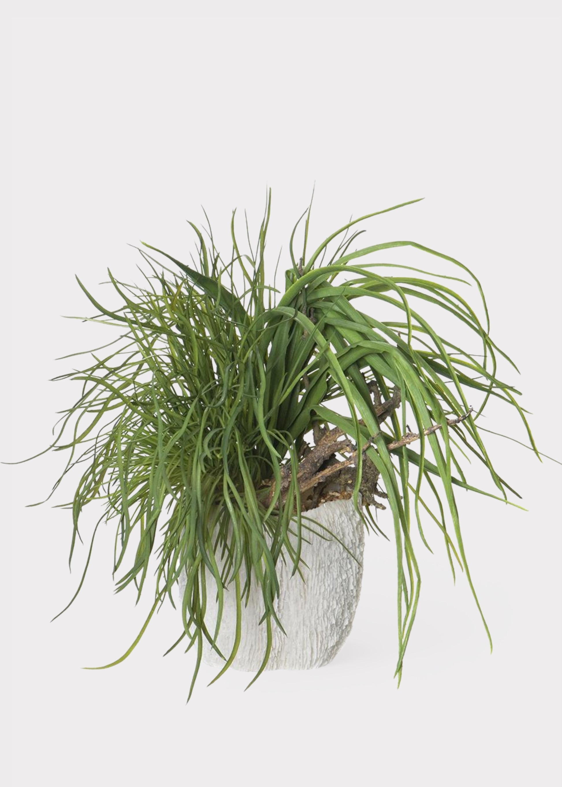 Fake Potted Grass Arrangement