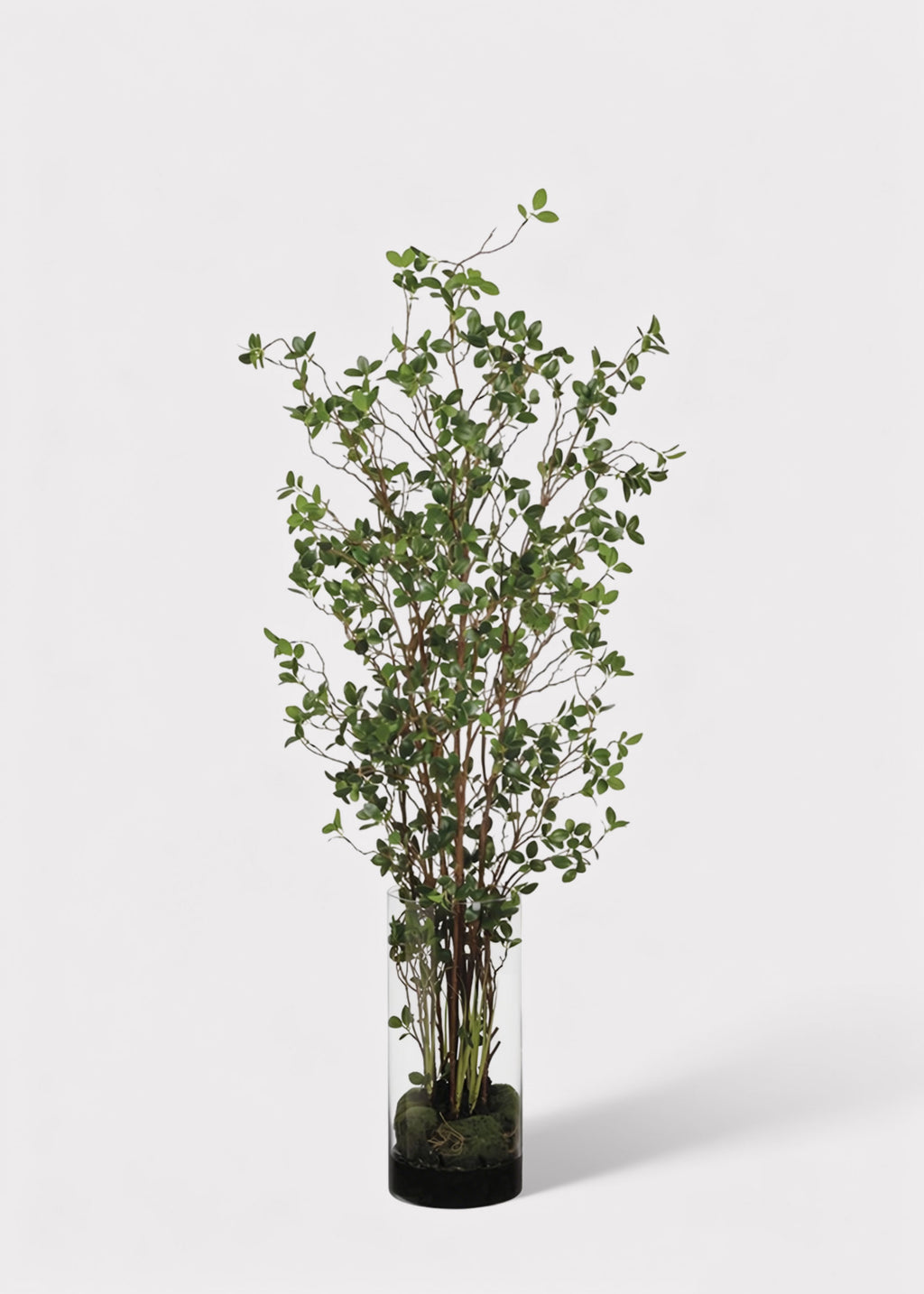 Artificial Tree Plant in Glass Cylinder Vase