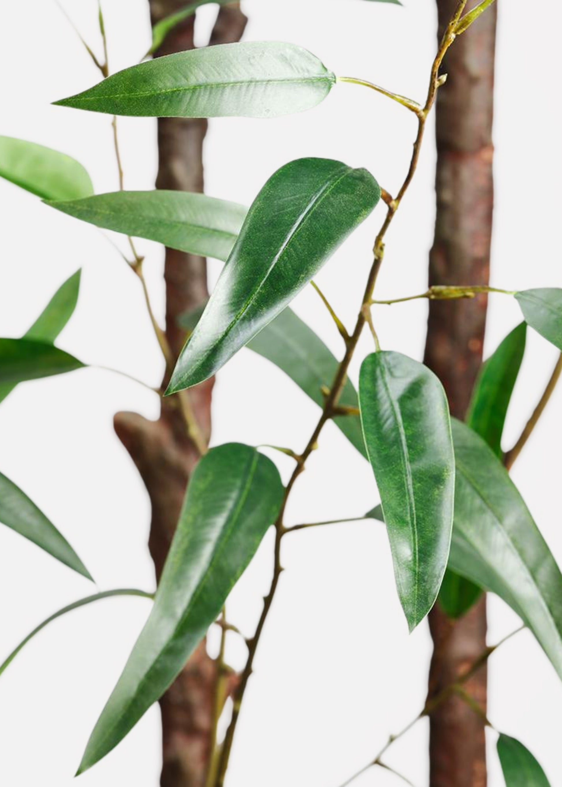 artificial potted plant bamboo 8' Bamboo Tree in Cement Planter - Faux - Green