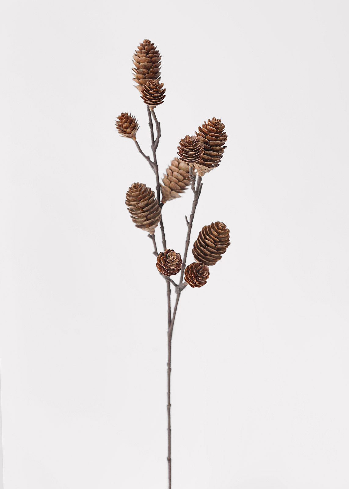 Brown Pine Cones on Stem for Holiday Decor at Afloral