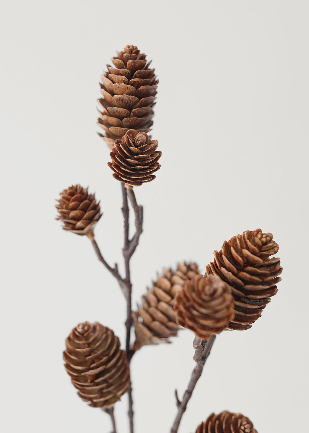 Afloral Artificial Brown Pine Cones
