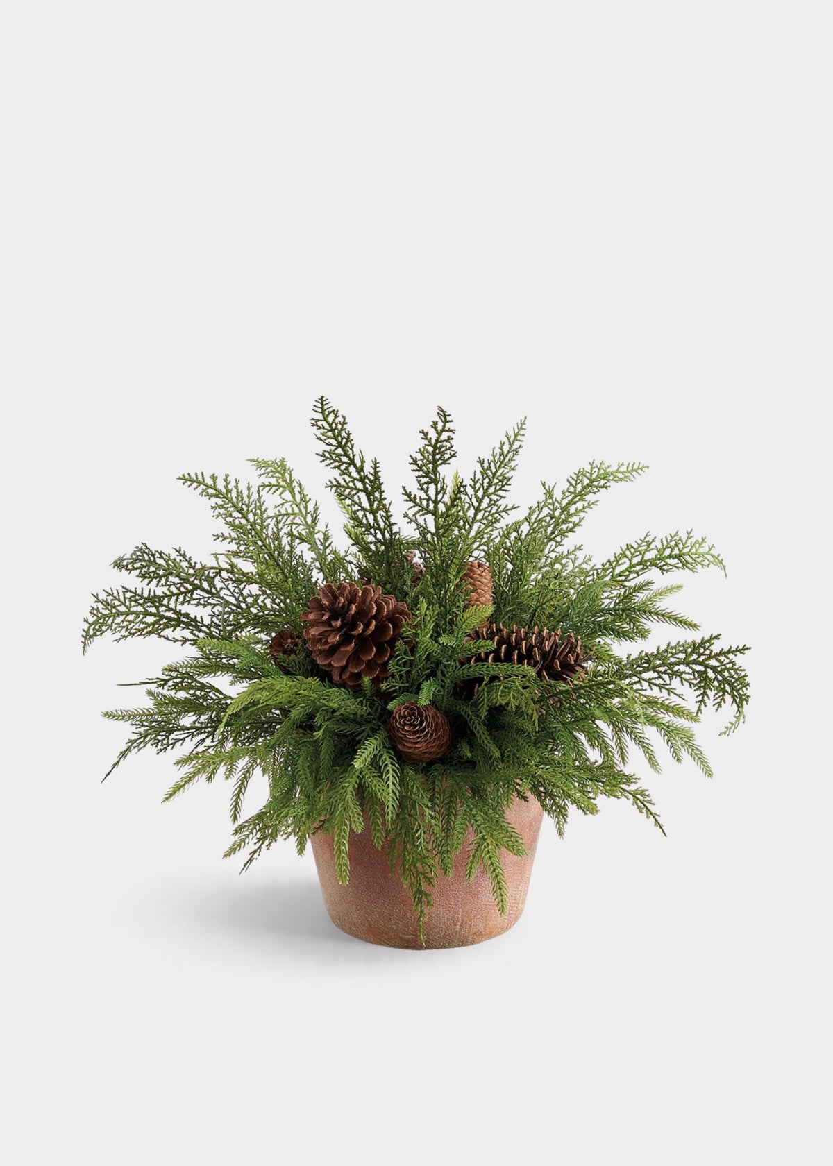 Fake Winter Pine and Cone Potted Plant in Cement Pot 