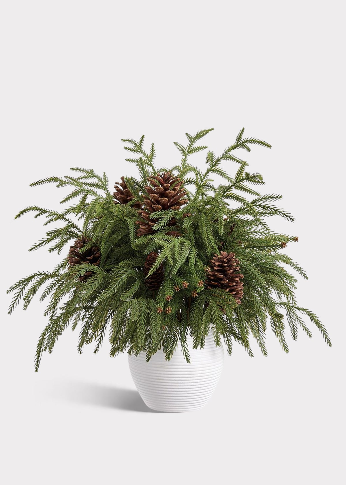 Artificial Willow Pine and Pinecone Holiday Potted Plant