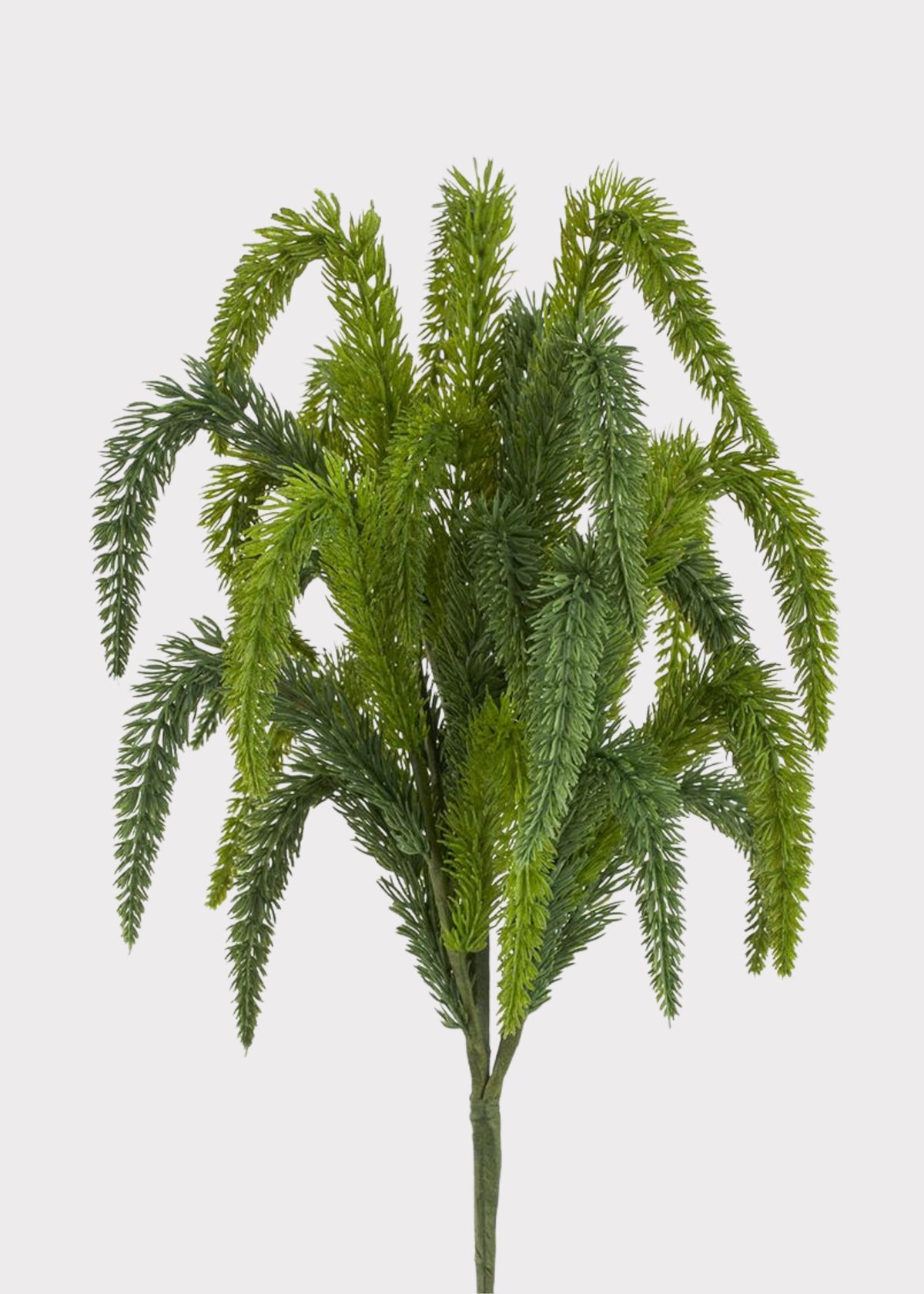 Natural Touch Winter Foxtail Pine Fake Greens Bush