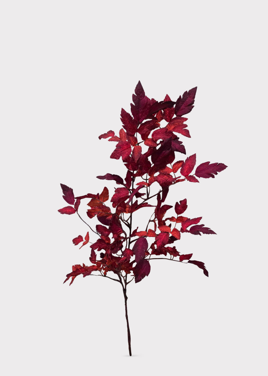 A single artificial leafy cimicifuga branch with red leaves