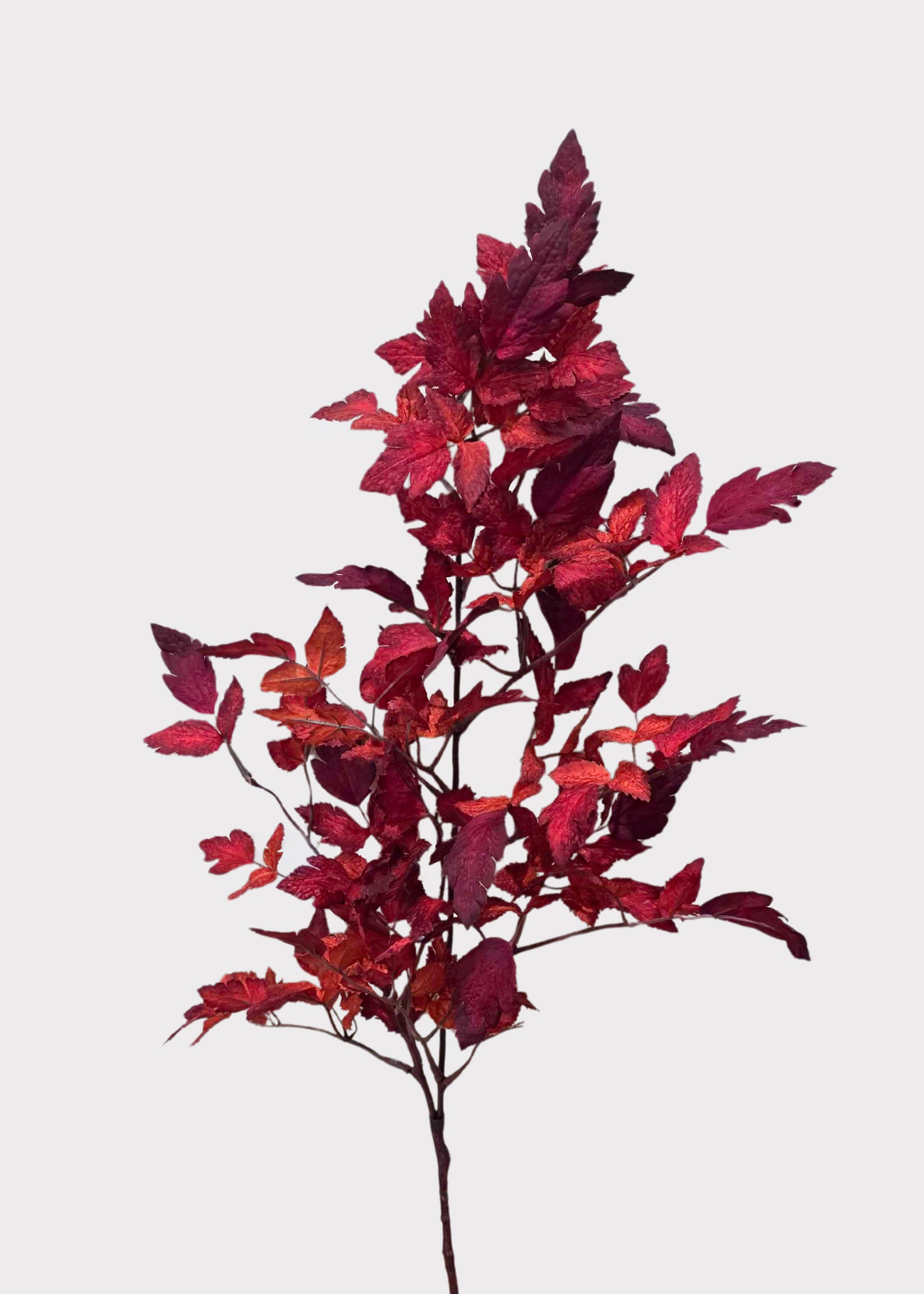 Artificial Cimicifuga Ramosa Leaves in Red