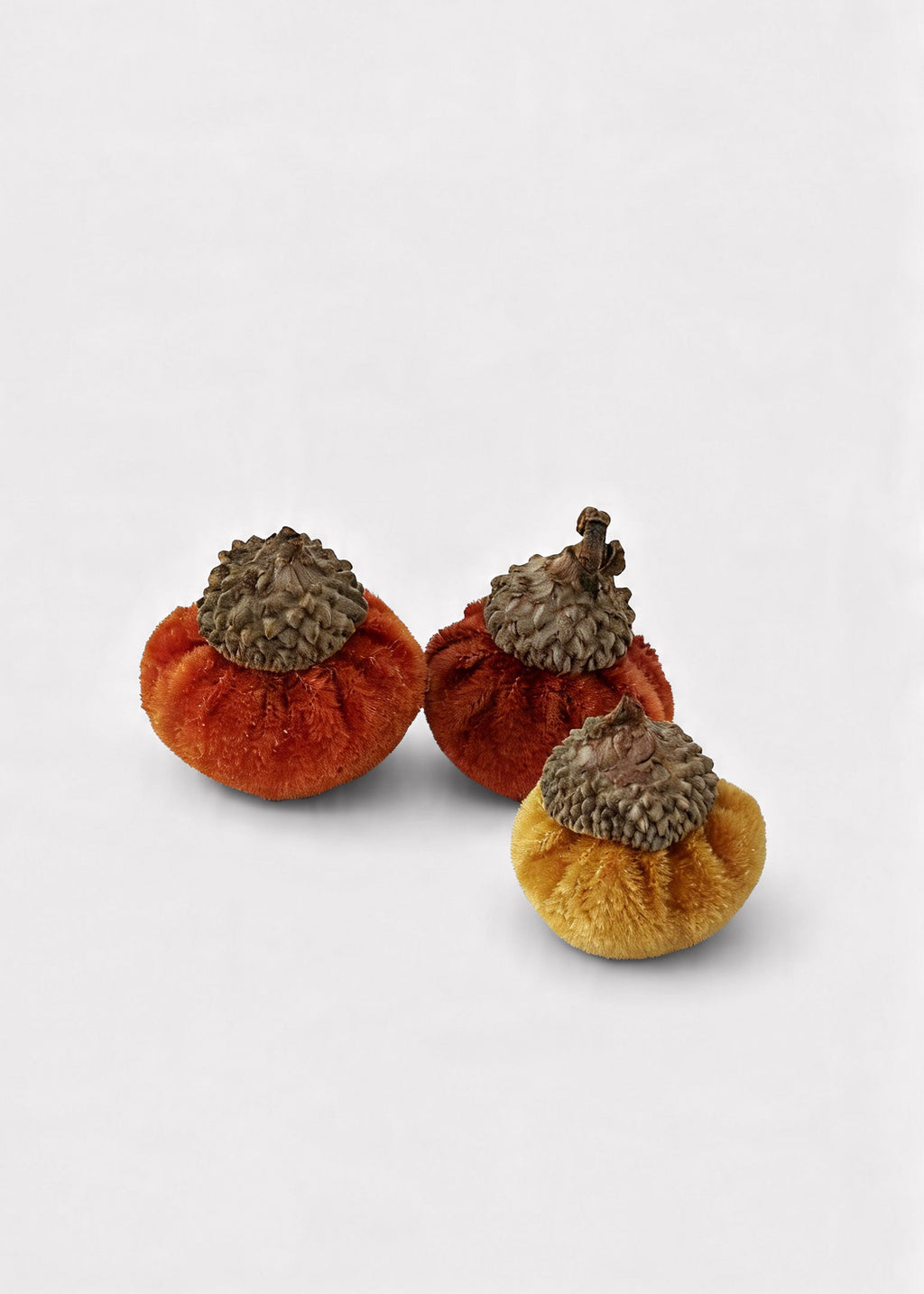 Close-up of Plush Velvet Acorns
