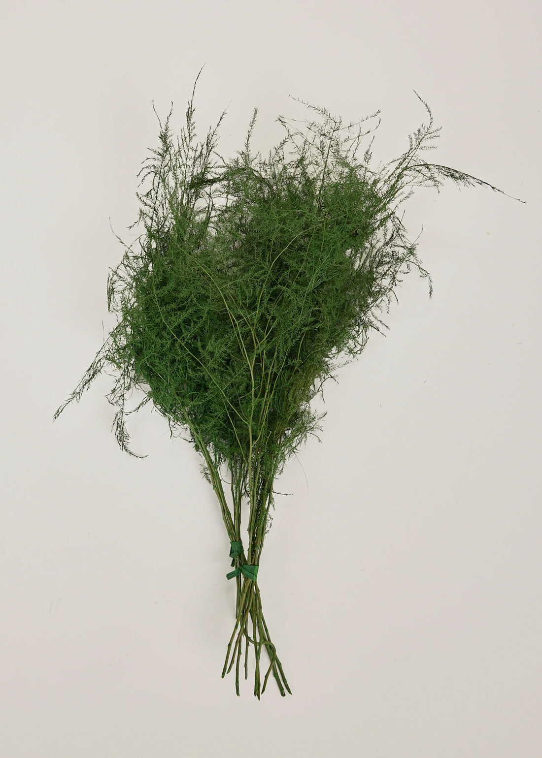 Dried Grasses and  Fern Bundle