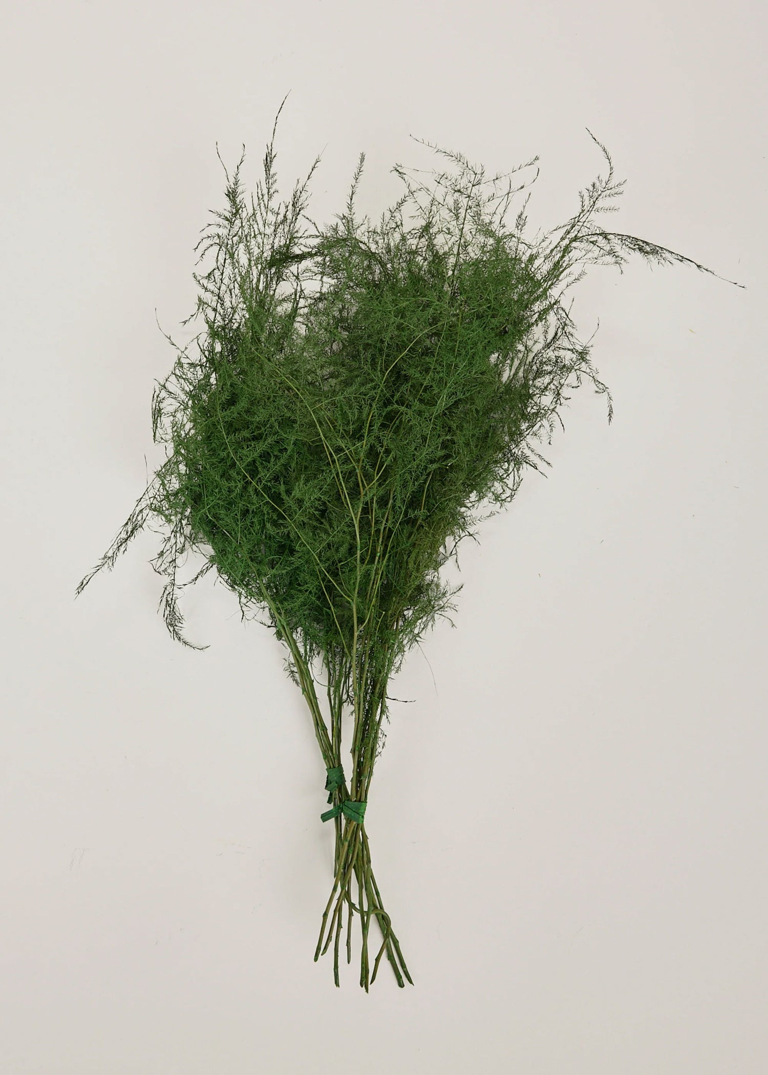 Dried Grasses and  Fern Bundle