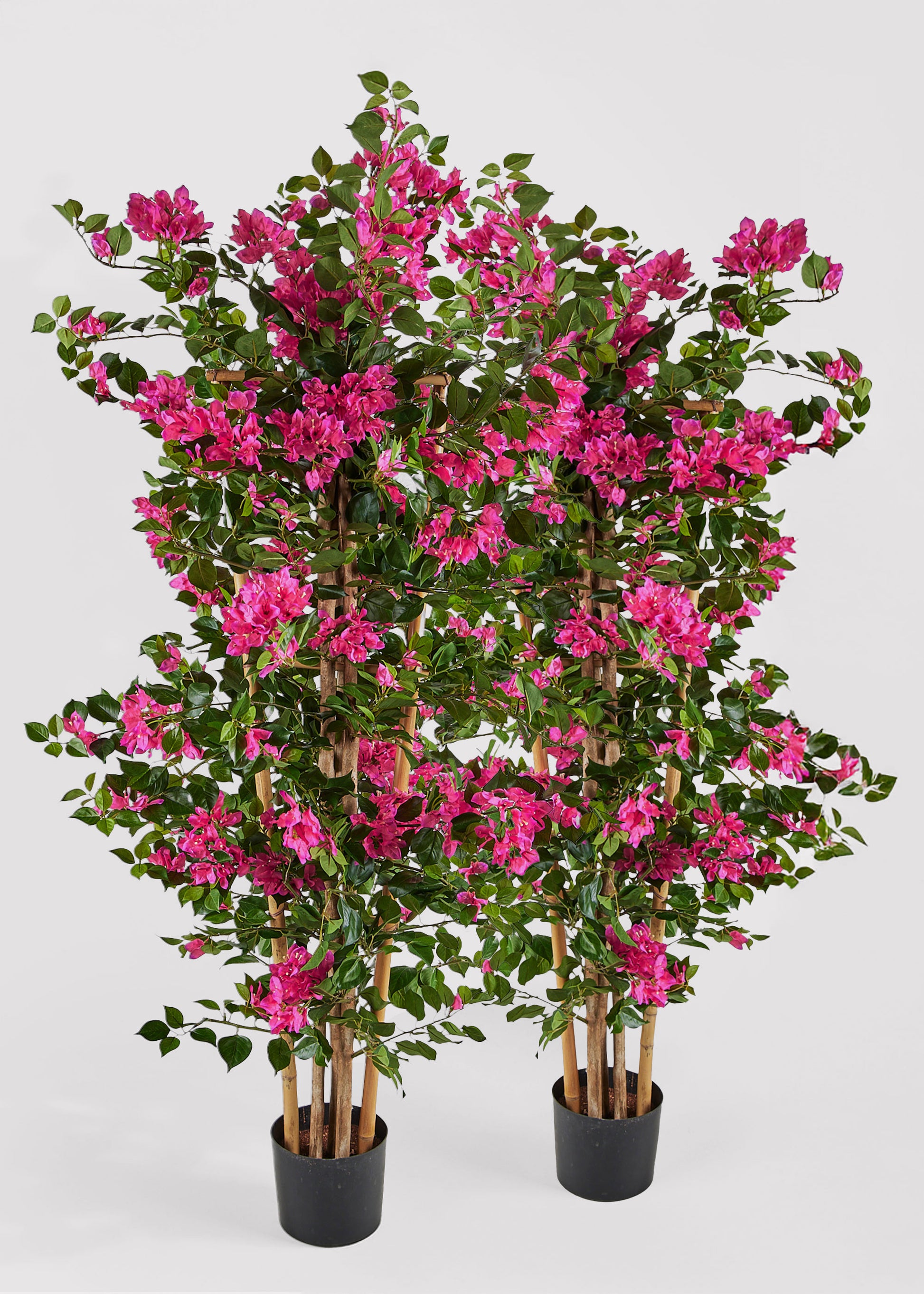 trellis with fake plants 4'7" Bougainvillea Flower On Trellis Silk Plant w/Pot -Beauty (Pack of 2)