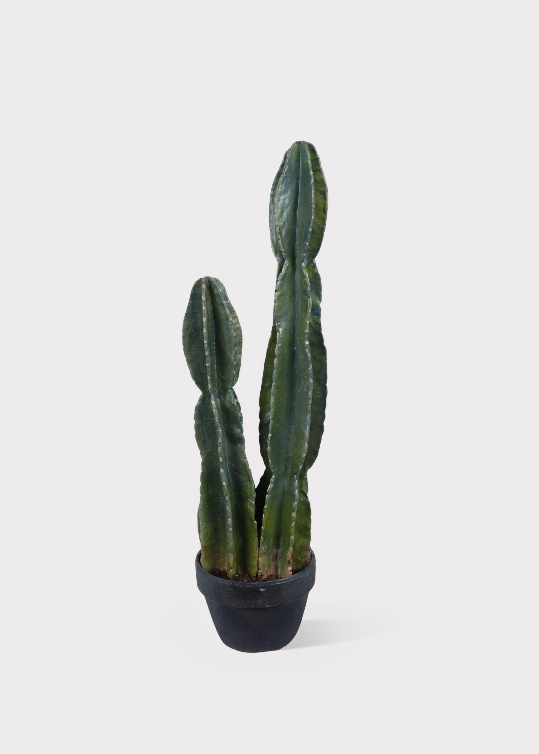 Fake Potted Cactus Plant
