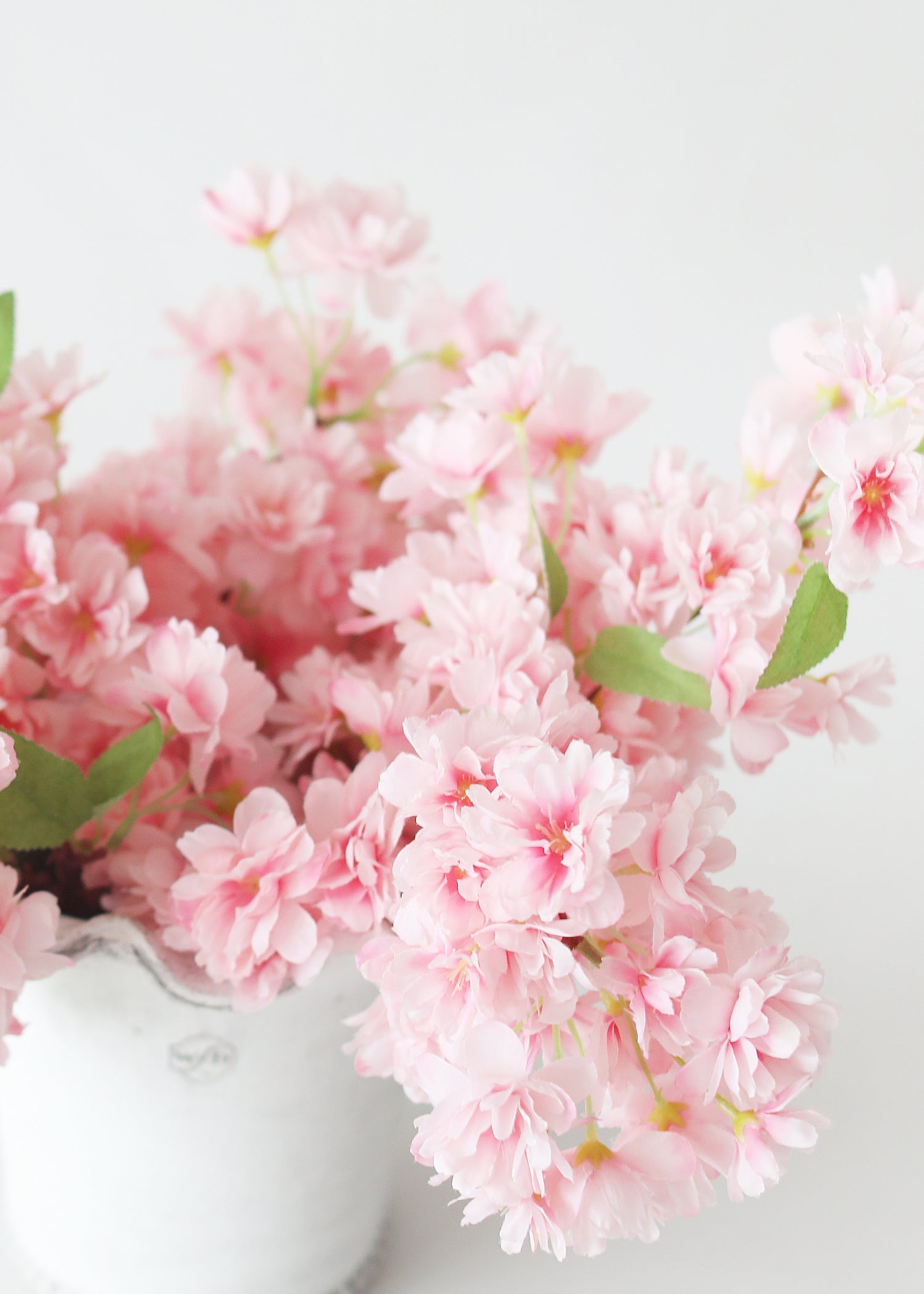 close-up of cherry blossom stems in pink