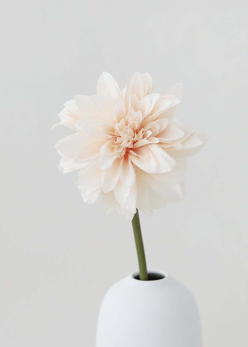 single dahlia in a white vase
