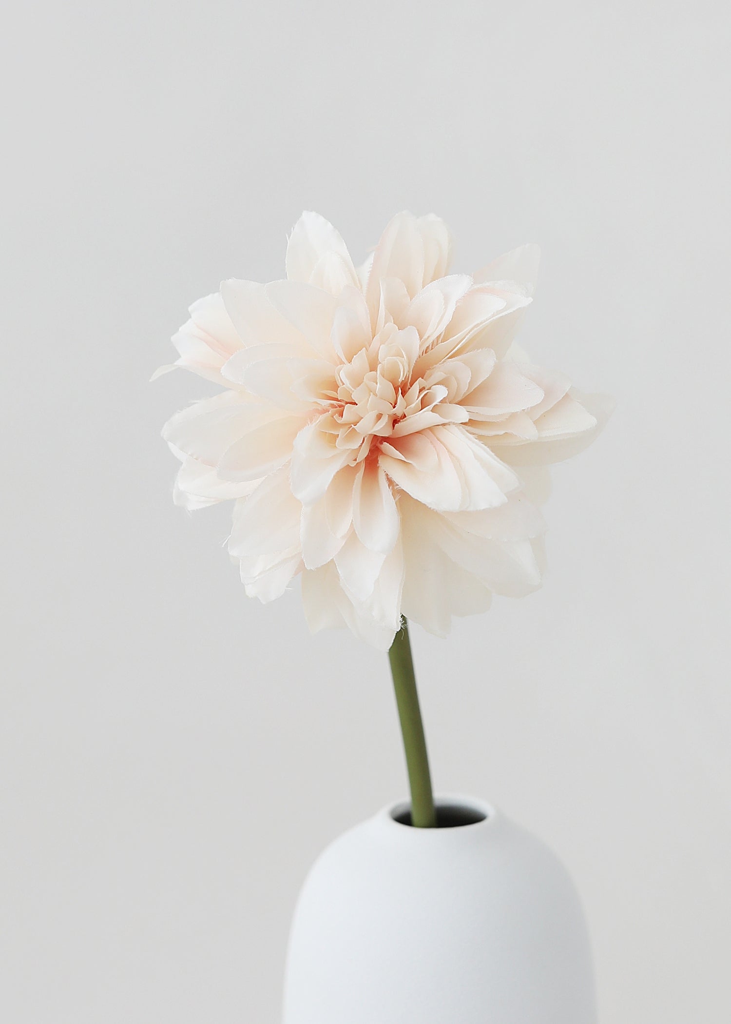 single dahlia in a white vase