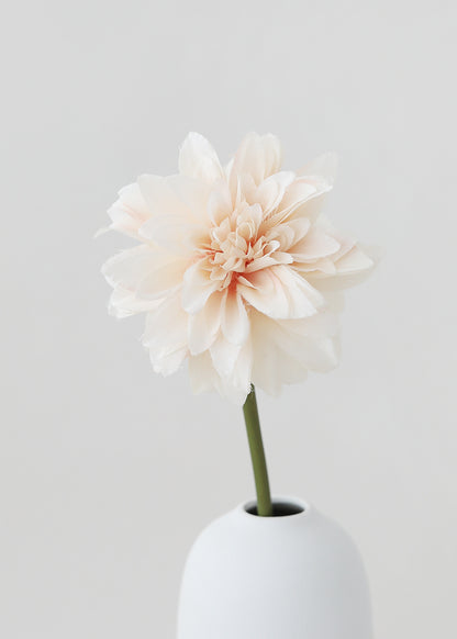single dahlia in a white vase