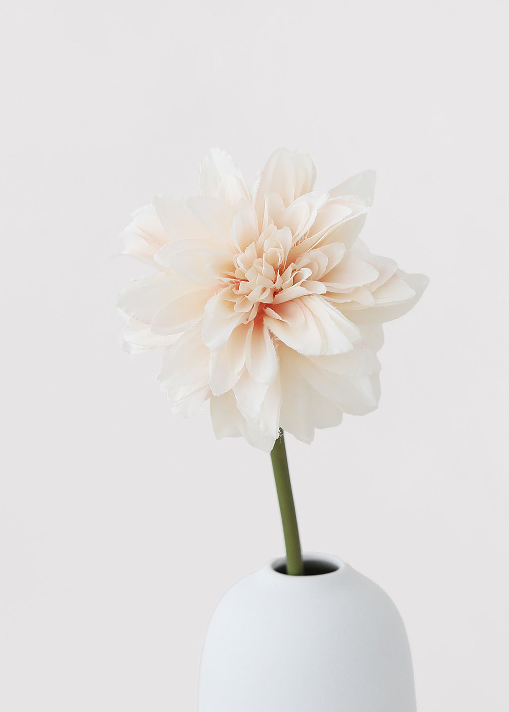 single dahlia in a white vase