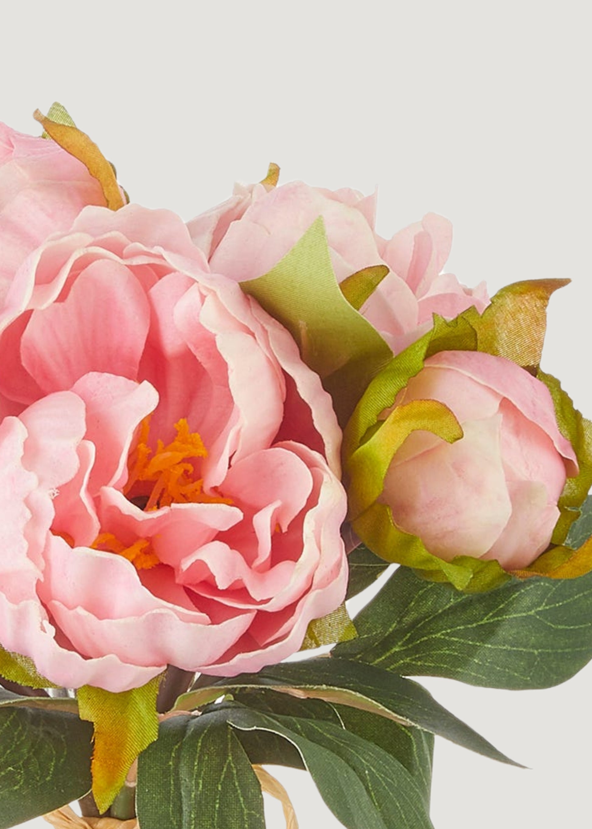 close-up of real touch pink peonies