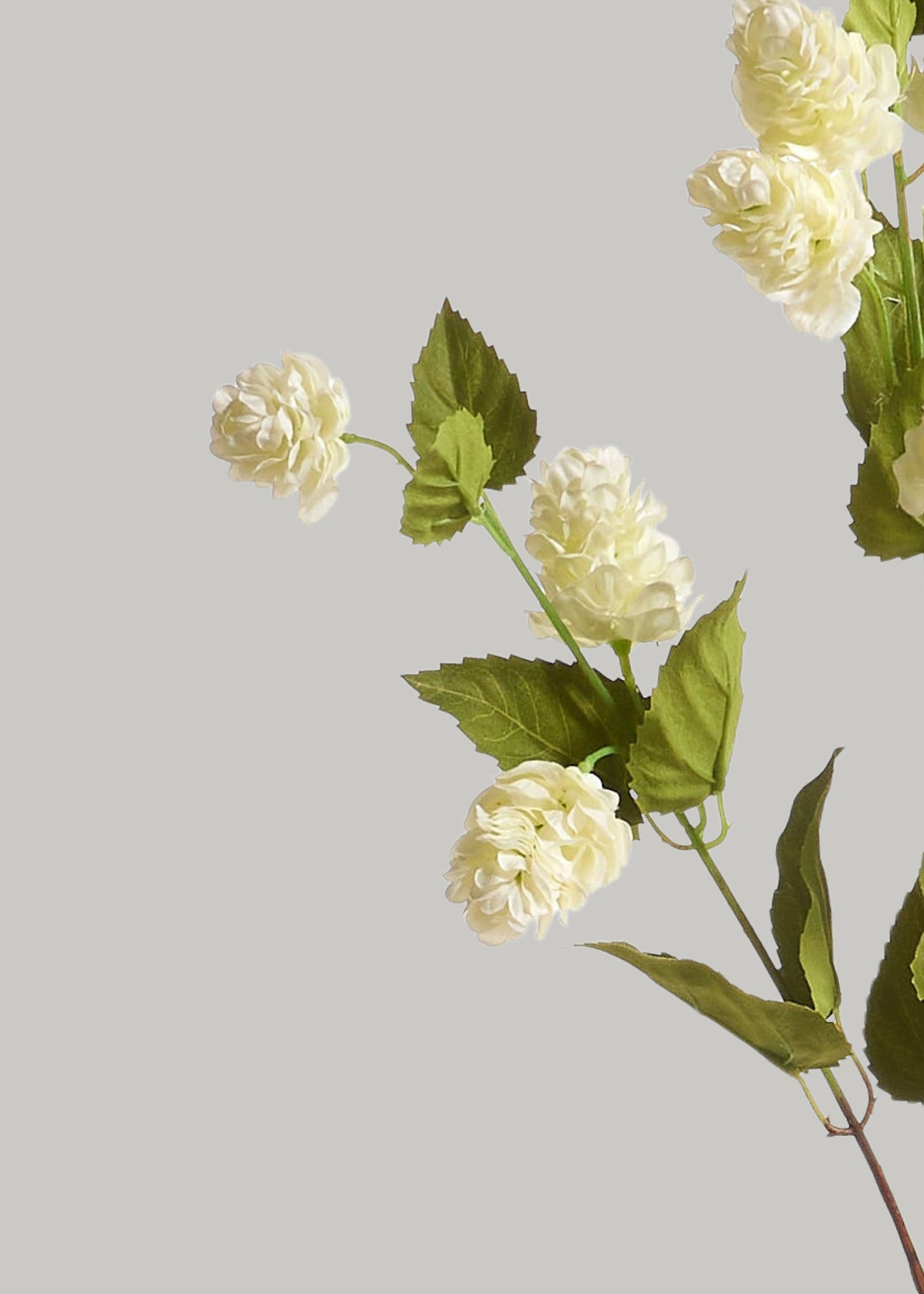 Close-up of Artificial Cream Green Hops Branch 