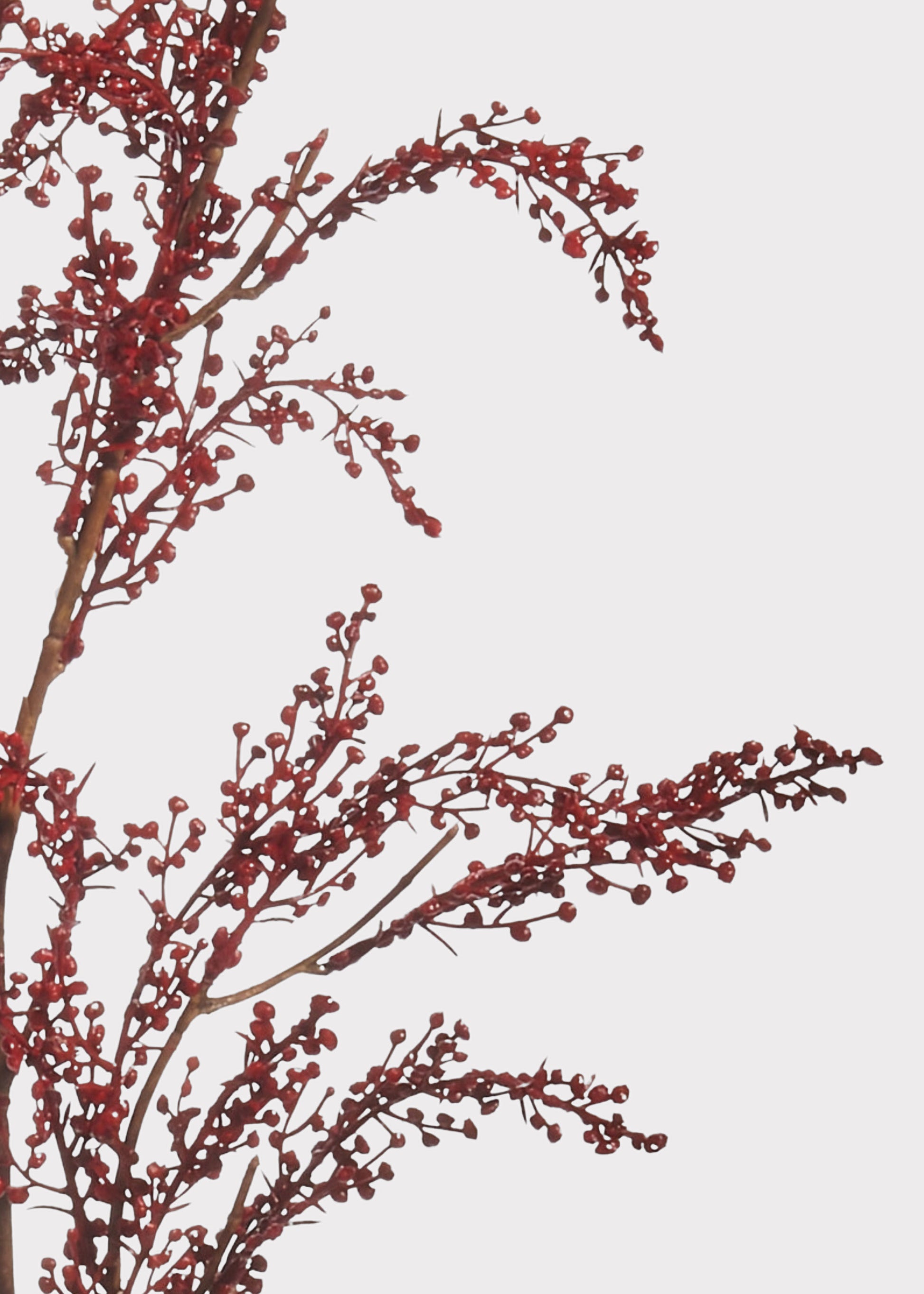 Close-up of Faux Red Berry Branch