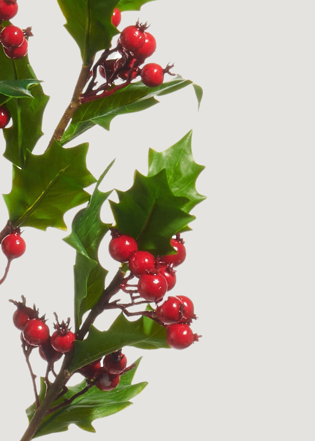 Close-up of Faux Holly Leaves and Berries