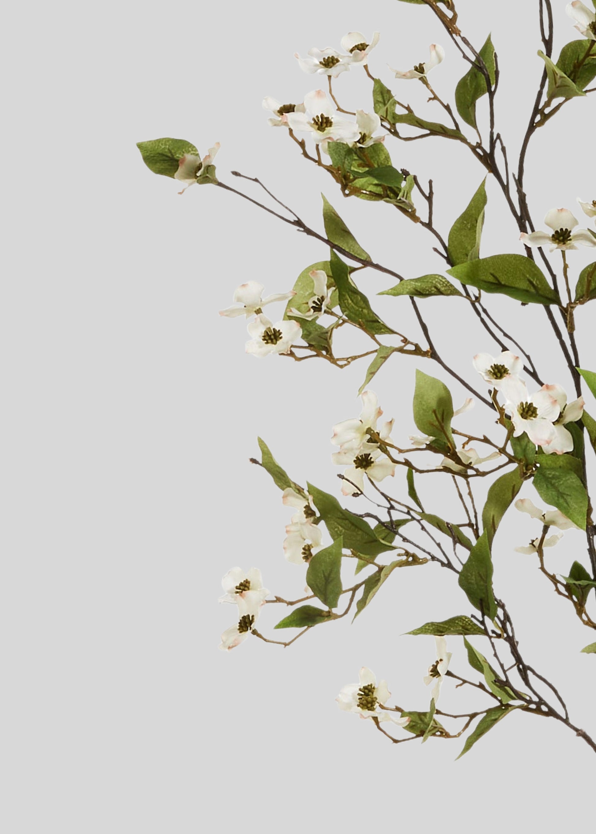 Close-up of fake dogwood flower branch
