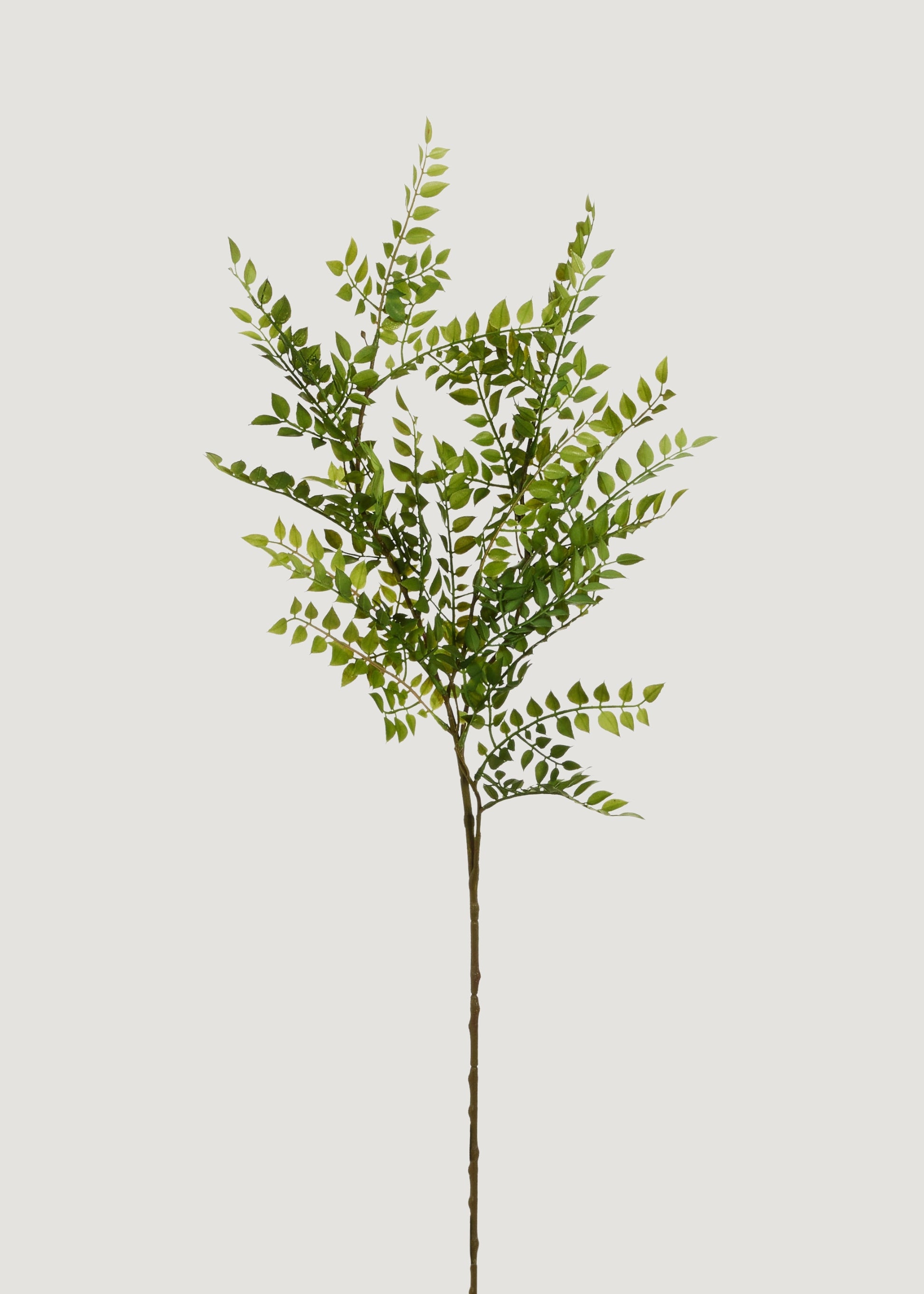 Artificial Ruscus Leaf Branch