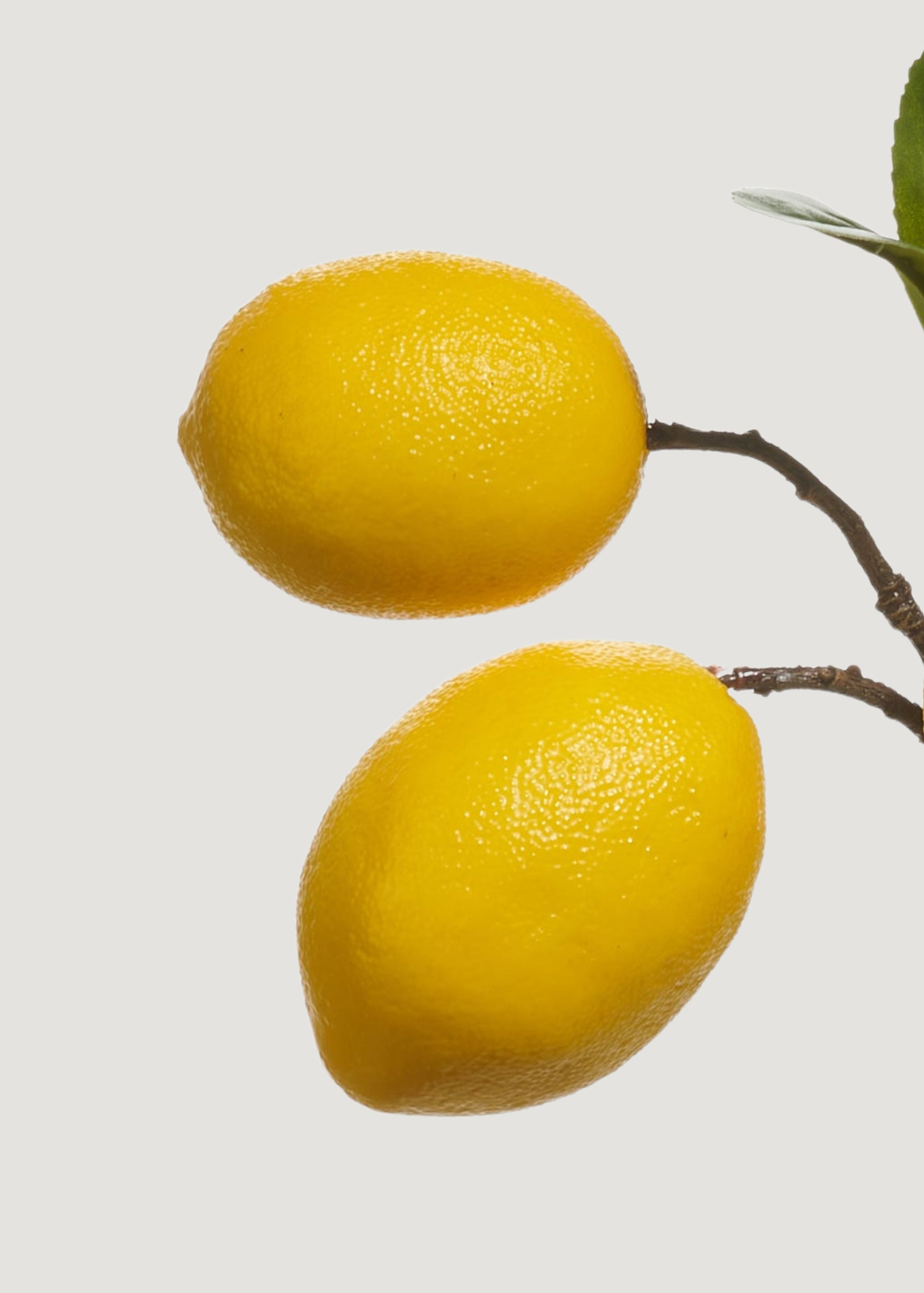 artificial lemons
