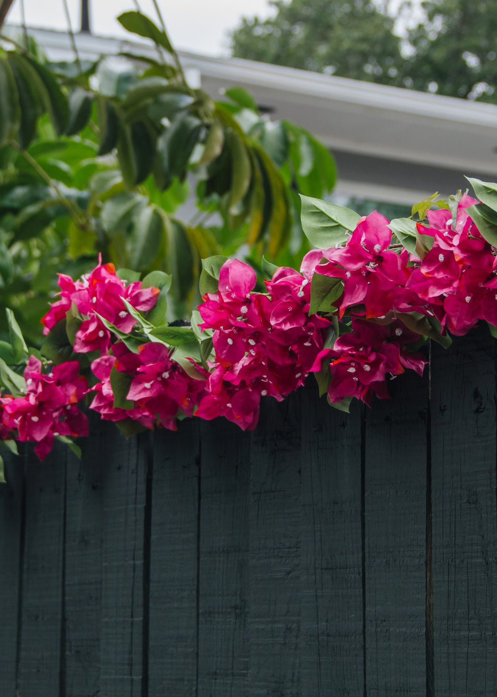 Fuchsia Artificial Bougainvillea Garland on Outdoor Fence