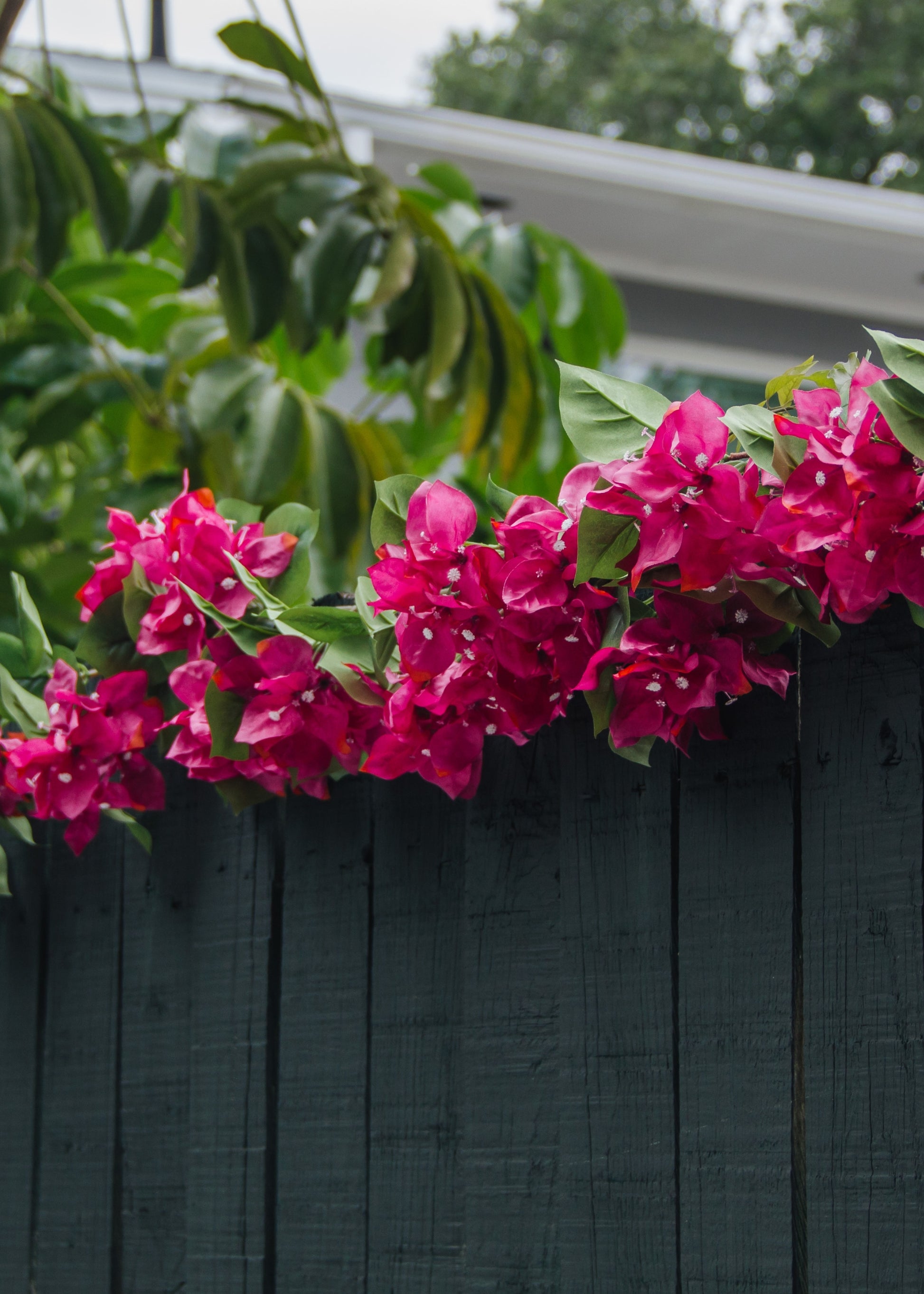 Fuchsia Artificial Bougainvillea Garland on Outdoor Fence