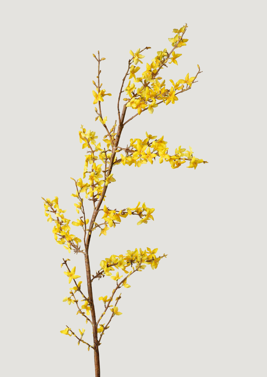Fake forsythia spring branch in yellow at afloral